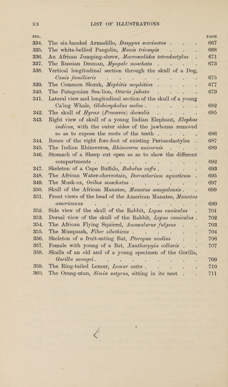 FIG. 334. The six-banded Armadillo, Dasypus sexcinctus . 335. The white-bellied Pangolin, Manis tricuspis 336. An African Jumping-shrew, Macroscelides tetradactylus 337. The Russian Desman, Myogale moschata . 338. Vertical longitudinal section through the skull of a Dog, Ganis familiaris ........ 339. The Common Skunk, Mephitis mephitica . . . . 340. The Patagonian Sea-lion, Otaria jubata . . . . 341. Lateral view and longitudinal section of the skull of a young Ca’ing Whale, Globicephalus melas . ... . 342. The skull of Hyrax (Procavia) dorsalis . . . . 343. Right view of skull of a young Indian Elephant, Elephas indicus, with the outer sides of the jawbones removed so as to expose the roots of the teeth . . . . 344. Bones of the right fore-foot of existing Perissodactyles . 345. The Indian Rhinoceros, Rhinoceros unicornis 346. Stomach of a Sheep cut open so as to show the different compartments ......... 347. Skeleton of a Cape Buffalo, Bubalus caffa . . . . 348. The African Water-chevrotain, Dorcatherium aquaticum . 349. The Musk-ox, Ovibos moschatus ...... 350. Skull of the African Manatee, Manatus senegalensis . 351. Front views of the head of the American Manatee, Manatus americanus ......... 352. Side view of the skull of the Rabbit, Lepus cunicidus 353. Dorsal view of the skull of the Rabbit, Lepus cuniculus . 354. The African Flying Squirrel, Anomalurus fulgens 355. The Musquash, Fiber zibethicus ...... 356. Skeleton of a fruit-eating Bat, Pteropus medius 357. Female with young of a Bat, Xantharpyia collaris . 358. Skulls of an old and of a young specimen of the Gorilla, Gorilla savagei. . . . - . 359. The Ring-tailed Lemur, Lemur catta . ... . 360. The Orang-utan, Simia satyrus, sitting in its nest . PAGE 667 668 671 673 675 677 679 682 685 686 687 689 692 693 695 697 699 699 701 702 703 704 706 707 709 710 711