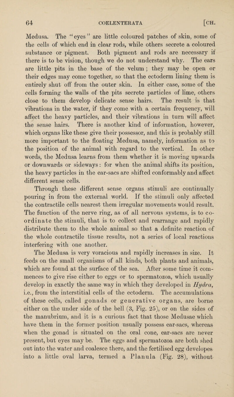 Medusa. The “eyes” are little coloured patches of skin, some of the cells of which end in clear rods, while others secrete a coloured substance or pigment. Both pigment and rods are necessary if there is to be vision, though we do not understand why. The ears are little pits in the base of the velum ; they may be open or their edges may come together, so that the ectoderm lining them is entirely shut off from the outer skin. In either case, some of the cells forming the walls of the pits secrete particles of lime, others close to them develop delicate sense hairs. The result is that vibrations in the water, if they come with a certain frequency, will affect the heavy particles, and their vibrations in turn will affect the sense hairs. There is another kind of information, however, which organs like these give their possessor, and this is probably still more important to the floating Medusa, namely, information as to the position of the animal with regard to the vertical. In other words, the Medusa learns from them whether it is moving upwards or downwards or sideways: for when the animal shifts its position, the heavy particles in the ear-sacs are shifted conformably and affect different sense cells. Through these different sense organs stimuli are continually pouring in from the external world. If the stimuli only affected the contractile cells nearest them irregular movements would result. The function of the nerve ring, as of all nervous systems, is to co¬ ordinate the stimuli, that is to collect and rearrange and rapidly distribute them to the whole animal so that a definite reaction of the whole contractile tissue results, not a series of local reactions interfering with one another. The Medusa is very voracious and rapidly increases in size. It feeds on the small organisms of all kinds, both plants and animals, which are found at the surface of the sea. After some time it com¬ mences to give rise either to eggs or to spermatozoa, which usually develop in exactly the same way in which they developed in Ilydra, i.e., from the interstitial cells of the ectoderm. The accumulations of these cells, called gonads or generative organs, are borne either on the under side of the bell (3, Fig. 25), or on the sides of the manubrium, and it is a curious fact that those Medusae which have them in the former position usually possess ear-sacs, whereas when the gonad is situated on the oral cone, ear-sacs are never present, but eyes may be. The eggs and spermatozoa are both shed out into the water and coalesce there, and the fertilised egg developes into a little oval larva, termed a Planula (Fig. 28), without