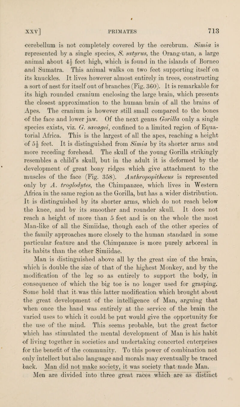 cerebellum is not completely covered by the cerebrum. Simia is represented by a single species, S. satyrus, the Orang-utan, a large animal about feet high, which is found in the islands of Borneo and Sumatra. This animal walks on two feet supporting itself on its knuckles. It lives however almost entirely in trees, constructing a sort of nest for itself out of branches (Fig. 360). It is remarkable for its high rounded cranium enclosing the large brain, which presents the closest approximation to the human brain of all the brains of Apes. The cranium is however still small compared to the bones of the face and lower jaw. Of the next genus Gorilla only a single species exists, viz. G. savagei, confined to a limited region of Equa¬ torial Africa. This is the largest of all the apes, reaching a height of 51 feet. It is distinguished from Simia by its shorter arms and more receding forehead. The skull of the young Gorilla strikingly resembles a child’s skull, but in the adult it is deformed by the development of great bony ridges which give attachment to the muscles of the face (Fig. 358). Anthropopithecus is represented only by A. troglodytes, the Chimpanzee, which lives in Western Africa in the same region as the Gorilla, but has a wider distribution. It is distinguished by its shorter arms, which do not reach below the knee, and by its smoother and rounder skull. It does not reach a height of more than 5 feet and is on the whole the most Man-like of all the Simiidae, though each of the other species of the family approaches more closely to the human standard in some particular feature and the Chimpanzee is more purely arboreal in its habits than the other Simiidae. Man is distinguished above all by the great size of the brain, which is double the size of that of the highest Monkey, and by the modification of the leg so as entirely to support the body, in consequence of which the big toe is no longer used for grasping. Some hold that it-was this latter modification which brought about the great development of the intelligence of Man, arguing that when once the hand was entirely at the service of the brain the varied uses to which it could be put would give the opportunity for the use of the mind. This seems probable, but the great factor which has stimulated the mental development of Man is his habit of living together in societies and undertaking concerted enterprises for the benefit of the community. To this power of combination not only intellect but also language and morals may eventually be traced back. Man did not make society, it was society that made Man. Men are divided into three great races which are as distinct