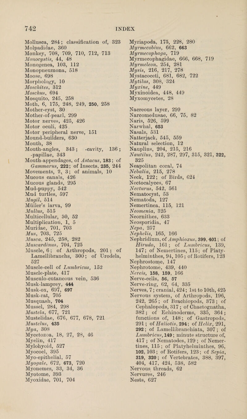 Mollusca, 284; classification of, 323 Molpadidae, 360 Monkey, 708, 709, 710, 712, 713 Monocystis, 44, 48 Monogenea, 103, 112 Monopnenmona, 518 Moose, 698 Morphology, 10 Moschites, 312 Moschus, 694 Mosquito, 245, 258 Moth, 6, 175, 248, 249, 250, 258 Mother-cyst, 30 Mother-of-pearl, 299 Motor nerves, 425, 426 Motor oculi, 425 Motor peripheral nerve, 151 Mound-builders, 630 Mouth, 38 Mouth-angles, 343; -cavity, 136; -papillae, 343 Mouth-appendages, of Astacus, 183; of Gammarus, 222; of Insects, 235, 244 Movements, 2, 3; of animals, 10 Mucous canals, 426 Mucous glands, 295 Mud-puppy, 542 Mud turtles, 597 Mugil, 514 Muller’s larva, 99 Mullus, 515 Multicellular, 30, 52 Multiplication, 1, 5 Muridae, 701, 703 Mus, 703, 725 Musca, 245, 258, 282 Muscardinus, 704, 725 Muscle, 6; of Arthropods, 201; of Lamellibranchs, 300; of Urodela, 527 Muscle-cell of Lumbricus, 152 Muscle-plate, 417 Musculo-cutaneous vein, 536 Musk-lamprey, 444 Musk-ox, 697, 697 Musk-rat, 705 Musquash, 704 Mussel, 284, 298 Mustela, 677, 721 Mustelidae, 676, 677, 678, 721 Mustelus, 435 Mya, 308 Mycetozoa, 18, 27, 28, 46 Myelin, 417 Mylohyoid, 527 Myocoel, 395 Myo-epithelial, 57 Myogale, 672, 673, 720 Myonemes, 33, 34, 36 Myotome, 393 Myoxidae, 701, 704 Myriapoda, 175, 228, 280 Myrmecobius, 662, 663 Myrmecophaga, 719 Myrmecophagidae, 666, 668, 719 Myrmeleon, 254, 281 Mysis, 216, 217, 278 Mystacoceti, 681, 682, 722 Mytilus, 308, 324 Myxine, 449 Myxinoidea, 448, 449 Myxomycetes, 28 Nacreous layer, 299 Narcomedusae, 66, 75, 82 Naris, 526, 599 Narwhal, 653 Nasals, 531 Natterjack, 545, 559 Natural selection, 12 Nauplius, 204, 215, 216 Nautilus, 242, 287, 297, 315, 321, 322, 325 Neapolitan coral, 74 Nebalia, 215, 278 Neck, 122; of Birds, 624 Nectocalyces, 67 Necturus, 542, 561 Nematocyst, 53 Nematoda, 127 Nemertinea, 115, 121 Neomenia, 325 Neornithes, 633 Neosporidia, 47 Nepa, 257 Nephelis, 165, 166 Nephridium, of Amphioxus, 399, 401; of Hirudo, 161; of Lumbricus, 139, 147; of Nemertines, 115; of Platj’’- helminthes, 94,105; of Rotifers, 123 Nephrostome, 147 Nephrotome, 439, 440 Nereis, 158, 159, 166 Nerve-cells, 56, 57 Nerve-ring, 62, 64, 335 Nerves, 7; cranial, 424; 1st to 10tli, 425 Nervous system, of Arthropods, 196, 242, 265 ; of Brachiopods, 373 ; of Cephalopods, 317 ; of Chaetognatha, 382 ; of Echinoderms, 335, 364; functions of, 148; of Gastropods, 291; of Haliotis, 294; of Helix, 291, 292; of Lamellibranchiata, 307 ; of Lumbricus, 149; minute structure of, 417 ; of Nematodes, 129 ; of Nemer¬ tines, 115 ; of Platyhelminthes, 96, 102, 103 ; of Rotifers, 123; of Sepia, 319, 320; of Vertebrates, 388, 397, 404, 417, 424, 538, 582 Nervous threads, 62 Nervures, 246 Nests, 627