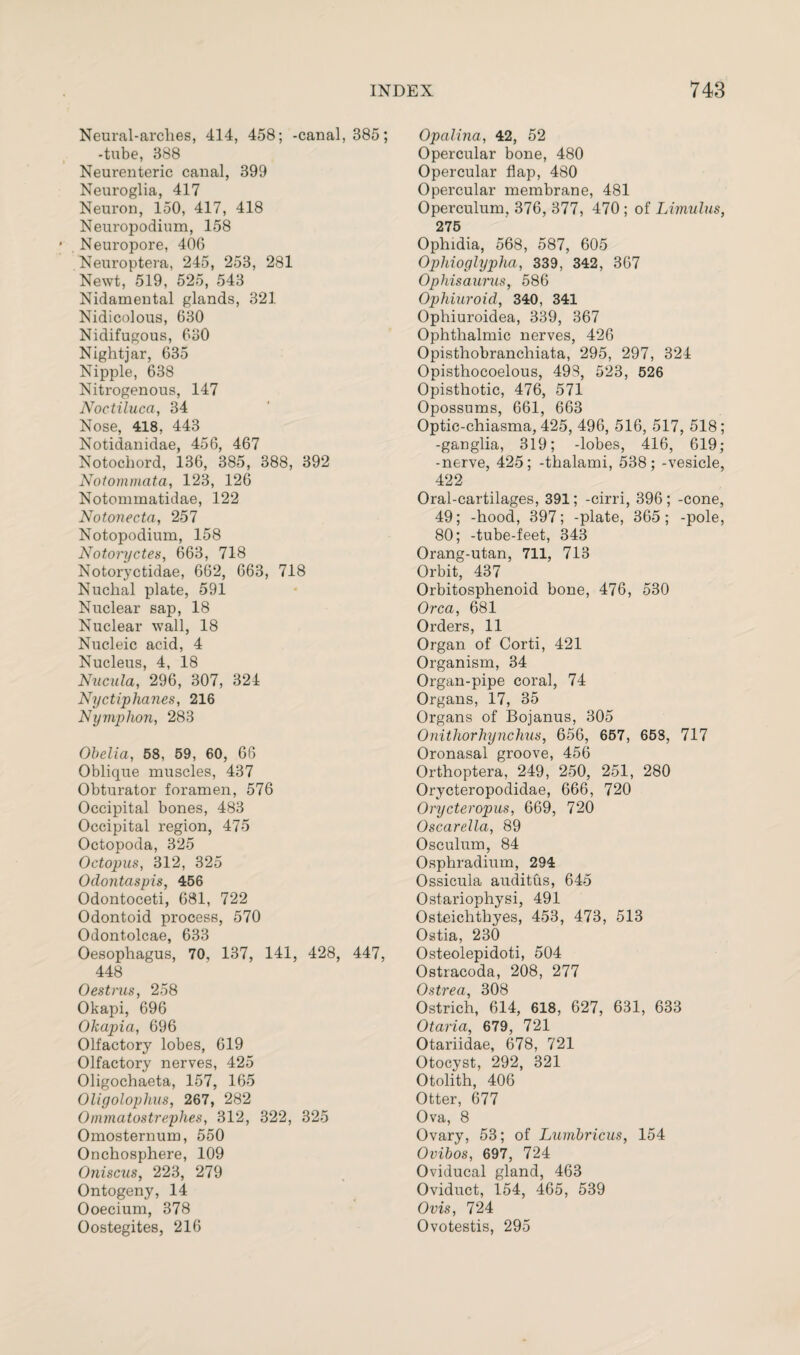 Neural-arclies, 414, 458; -canal, 385; -tube, 388 Neurenteric canal, 399 Neuroglia, 417 Neuron, 150, 417, 418 Neuropodium, 158 Neuropore, 406 Neuroptera, 245, 253, 281 Newt, 519, 525, 543 Nidamental glands, 321 Nidicolous, 630 Nidifugous, 630 Nightjar, 635 Nipple, 638 Nitrogenous, 147 Noctilucci, 34 Nose, 418, 443 Notidanidae, 456, 467 Notochord, 136, 385, 388, 392 Notommata, 123, 126 Notommatidae, 122 Notonecta, 257 Notopodium, 158 Notoryctes, 663, 718 Notoryctidae, 662, 663, 718 Nuchal plate, 591 Nuclear sap, 18 Nuclear wall, 18 Nucleic acid, 4 Nucleus, 4, 18 Nucula, 296, 307, 324 Nyctiphanes, 216 Nymphon, 283 Obelia, 58, 59, 60, 66 Oblique muscles, 437 Obturator foramen, 576 Occipital bones, 483 Occipital region, 475 Octopoda, 325 Octopus, 312, 325 Odontcispis, 456 Odontoceti, 681, 722 Odontoid process, 570 Odontolcae, 633 Oesophagus, 70, 137, 141, 428, 447, 448 Oestrus, 258 Okapi, 696 Okapia, 696 Olfactory lobes, 619 Olfactory nerves, 425 Oligochaeta, 157, 165 Oligoloplius, 267, 282 Ommatostrephes, 312, 322, 325 Omosternum, 550 Onchosphere, 109 Ouiscus, 223, 279 Ontogeny, 14 Ooecium, 378 Oostegites, 216 Opalina, 42, 52 Opercular bone, 480 Opercular flap, 480 Opercular membrane, 481 Operculum, 376, 377, 470 ; of Limulus, 275 Ophidia, 568, 587, 605 Ophioglypha, 339, 342, 367 Ophisaums, 586 Ophiuroid, 340, 341 Ophiuroidea, 339, 367 Ophthalmic nerves, 426 Opisthobranchiata, 295, 297, 324 Opisthocoelous, 493, 523, 526 Opisthotic, 476, 571 Opossums, 661, 663 Optie-chiasma, 425, 496, 516, 517, 518; -ganglia, 319; -lobes, 416, 619; -nerve, 425; -thalami, 538; -vesicle, 422 Oral-cartilages, 391; -cirri, 396 ; -cone, 49; -hood, 397; -plate, 365; -pole, 80; -tube-feet, 343 Orang-utan, 711, 713 Orbit, 437 Orbitosphenoid bone, 476, 530 Orca, 681 Orders, 11 Organ of Corti, 421 Organism, 34 Organ-pipe coral, 74 Organs, 17, 35 Organs of Bojanus, 305 Onithorhynchus, 656, 657, 653, 717 Oronasal groove, 456 Orthoptera, 249, 250, 251, 280 Orycteropodidae, 666, 720 Orycteropus, 669, 720 Oscarella, 89 Osculum, 84 Osphradium, 294 Ossicuia auditus, 645 Ostariophysi, 491 Osteichthyes, 453, 473, 513 Ostia, 230 Osteolepidoti, 504 Ostracoda, 208, 277 Ostrea, 308 Ostrich, 614, 618, 627, 631, 633 Otaria, 679, 721 Otariidae, 678, 721 Otocyst, 292, 321 Otolith, 406 Otter, 677 Ova, 8 Ovary, 53; of Lumbricus, 154 Ovibos, 697, 724 Oviducal gland, 463 Oviduct, 154, 465, 539 Ovis, 724 Ovotestis, 295