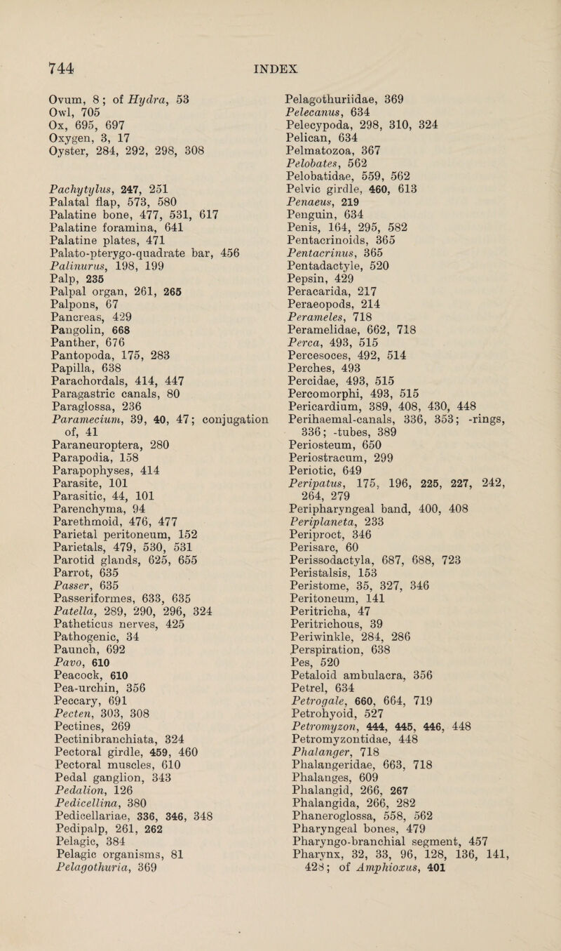 Ovum, 8 ; of Hydra, 53 Owl, 705 Ox, 695, 697 Oxygen, 3, 17 Oyster, 284, 292, 298, 308 Pachytylus, 247, 251 Palatal flap, 573, 580 Palatine bone, 477, 531, 617 Palatine foramina, 641 Palatine plates, 471 Palato-pterygo-quadrate bar, 456 Palinurus, 198, 199 Palp, 235 Palpal organ, 261, 265 Palpons, 67 Pancreas, 429 Pangolin, 668 Panther, 676 Pantopoda, 175, 283 Papilla, 638 Parachordals, 414, 447 Paragastric canals, 80 Paraglossa, 236 Paramecium, 39, 40, 47; conjugation of, 41 Paraneuroptera, 280 Parapodia, 158 Parapophyses, 414 Parasite, 101 Parasitic, 44, 101 Parenchyma, 94 Parethmoid, 476, 477 Parietal peritoneum, 152 Parietals, 479, 530, 531 Parotid glands, 625, 655 Parrot, 635 Passer, 635 Passeriformes, 633, 635 Patella, 289, 290, 296, 324 Patheticus nerves, 425 Pathogenic, 34 Paunch, 692 Pavo, 610 Peacock, 610 Pea-urchin, 356 Peccary, 691 Pecten, 303, 308 Pectines, 269 Pectinibranchiata, 324 Pectoral girdle, 459, 460 Pectoral muscles, 610 Pedal ganglion, 343 Pedalion, 126 Pedicellina, 380 Pedicellariae, 336, 346, 348 Pedipalp, 261, 262 Pelagic, 384 Pelagic organisms, 81 Pelagothuria, 369 Pelagothuriidae, 369 Pelecanus, 634 Pelecypoda, 298, 310, 324 Pelican, 634 Pelmatozoa, 367 Pelobates, 562 Pelobatidae, 559, 562 Pelvic girdle, 460, 613 Penaeus, 219 Penguin, 634 Penis, 164, 295, 582 Pentacrinoids, 365 Pentacrinus, 365 Pentadactyle, 520 Pepsin, 429 Peracarida, 217 Peraeopods, 214 Perameles, 718 Peramelidae, 662, 718 Perea, 493, 515 Percesoces, 492, 514 Perches, 493 Percidae, 493, 515 Percomorphi, 493, 515 Pericardium, 389, 408, 430, 448 Perihaemal-canals, 336, 353; -rings, 336; -tubes, 389 Periosteum, 650 Periostracum, 299 Periotic, 649 Peripatus, 175. 196, 225, 227, 242, 264, 279 Peripharyngeal band, 400, 408 Periplaneta, 233 Periproct, 346 Perisarc, 60 Perissodactyla, 687, 688, 723 Peristalsis, 153 Peristome, 35, 327, 346 Peritoneum, 141 Peritricha, 47 Peritrichous, 39 Periwinkle, 284, 286 .Perspiration, 638 Pes, 520 Petaloid ambulacra, 356 Petrel, 634 Petrogale, 660, 664, 719 Petrohyoid, 527 Petromyzon, 444, 445, 446, 448 Petromyzontidae, 448 Phalanger, 718 Plialangeridae, 663, 718 Phalanges, 609 Phalangid, 266, 267 Phalangida, 266, 282 Phaneroglossa, 558, 562 Pharyngeal bones, 479 Pharyngo-branchial segment, 457 Pharynx, 32, 33, 96, 128, 136, 141, 428; of Amphioxus, 401