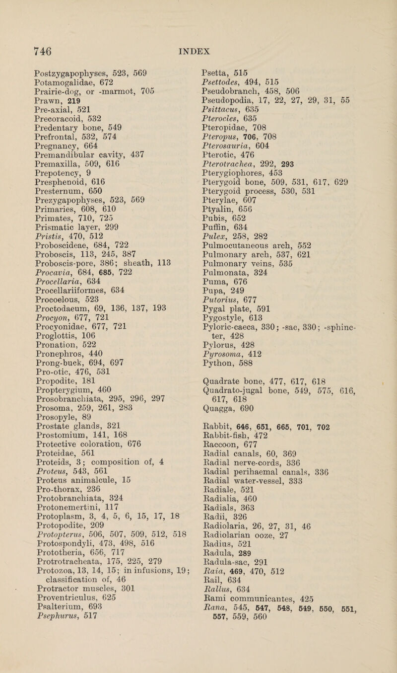 Postzygapophyses, 528, 569 Potamogalidae, 672 Prairie-dog, or -marmot, 705 Prawn, 219 Pre-axial, 521 Precoracoid, 532 Predentary bone, 549 Prefrontal, 582, 574 Pregnancy, 664 Premandibular cavity, 437 Premaxilla, 509, 616 Prepotency, 9 Presphenoid, 616 Presternum, 650 Prezygapophyses, 523, 569 Primaries, 608, 610 Primates, 710, 725 Prismatic layer, 299 Pristis, 470, 512 Proboscideae, 684, 722 Proboscis, 113, 245, 387 Proboscis-pore, 386; sheath, 113 Procavia, 684, 685, 722 Procellaria, 634 Procellariiformes, 634 Procoelous, 523 Proctodaeum, 69, 136, 137, 193 Procyon, 677, 721 Procyonidae, 677, 721 Proglottis, 106 Pronation, 522 Pronephros, 440 Prong-buck, 694, 697 Pro-otic, 476, 531 Propodite, 181 Propterygium, 460 Prosobranchiata, 295, 296, 297 Prosoma, 259, 261, 283 Prosopyle, 89 Prostate glands, 321 Prostomium, 141, 168 Protective coloration, 676 Proteidae, 561 Proteids, 3; composition of, 4 Proteus, 543, 561 Proteus animalcule, 15 Pro-thorax, 236 Protobranchiata, 324 Protonemertini, 117 Protoplasm, 3, 4, 5, 6, 15, 17, 18 Protopodite, 209 Protopterus, 506, 507, 509, 512, 518 Protospondyli, 473, 498, 516 Prototheria, 656, 717 Protrotracheata, 175, 225, 279 Protozoa, 13, 14, 15; in infusions, 19; classification of, 46 Protractor muscles, 301 Proventriculus, 625 Psalterium, 693 Psephurus, 517 Psetta, 515 Psettodes, 494, 515 Pseudobranch, 458, 506 Pseudopodia, 17, 22, 27, 29, 31, 55 Psittacus, 635 Pterocies, 635 Pteropidae, 708 Pteropus, 706, 708 Pterosauria, 604 Pterotic, 476 Pterotrachea, 292, 293 Pterygiophores, 453 Pterygoid bone, 509, 531, 617, 629 Pterygoid process, 530, 531 Pterylae, 607 Ptyalin, 656 Pubis, 652 Puffin, 634 Pulex, 258, 282 Pulmocutaneous arch, 552 Pulmonary arch, 537, 621 Pulmonary veins, 535 Palmonata, 324 Puma, 676 Pupa, 249 Putorius, 677 Pygal plate, 591 Pygostyle, 613 Pyloric-caeca, 330; -sac, 330; -sphinc¬ ter, 428 Pylorus, 428 Pyrosoma, 412 Python, 588 Quadrate bone, 477, 617, 618 Quadrato-iugal bone, 549, 575, 616, 617, 618 Quagga, 690 Rabbit, 646, 651, 665, 701, 702 Rabbit-fish, 472 Raccoon, 677 Radial canals, 60, 369 Radial nerve-cords, 336 Radial perihaemal canals, 336 Radial water-vessel, 333 Radiale, 521 Radialia, 460 Radials, 363 Radii, 326 Radiolaria, 26, 27, 31, 46 Radiolarian ooze, 27 Radius, 521 Radula, 289 Radula-sac, 291 Raid, 469, 470, 512 Rail, 634 Rallus, 634 Rami communicantes, 425 Rana, 545, 547, 548, 549, 550, 551, 557, 559, 560