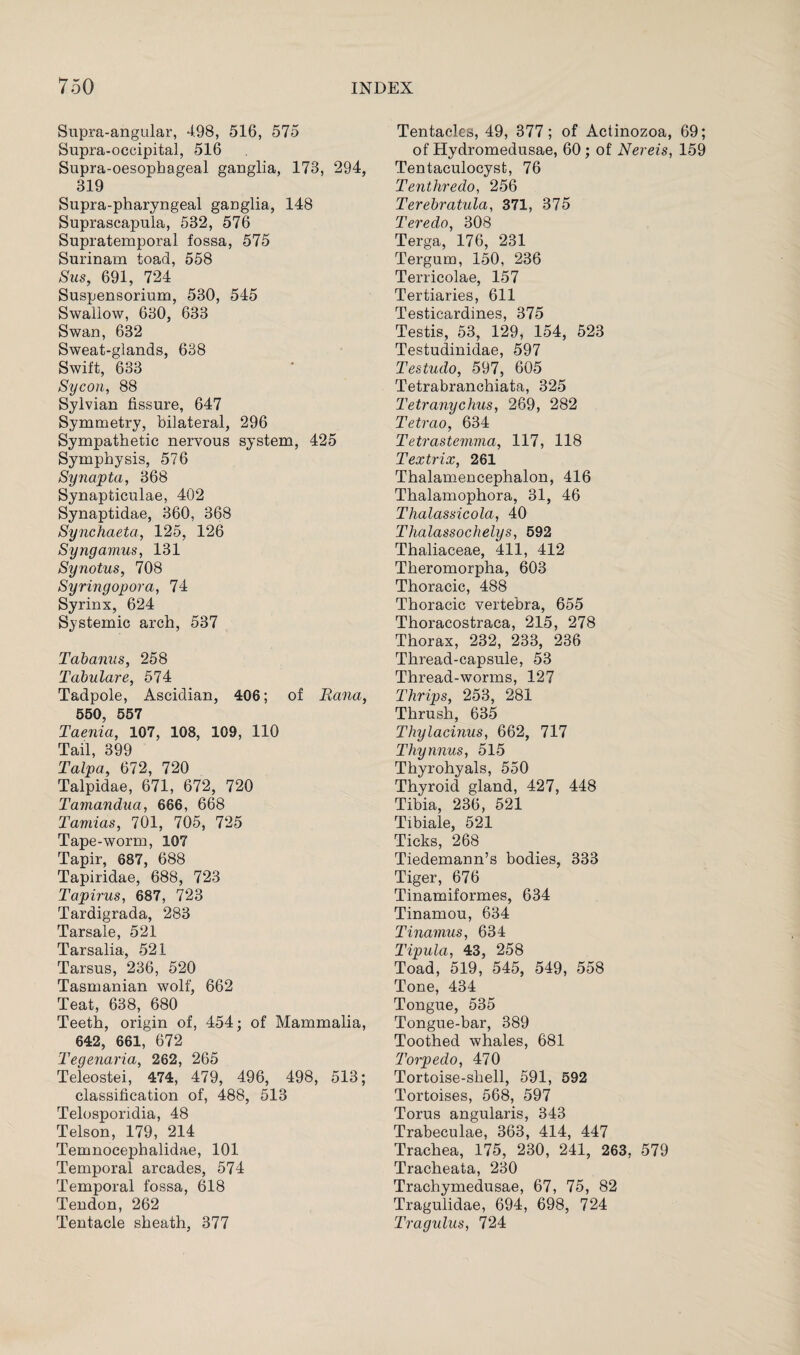 Supra-angular, 498, 516, 575 Supra-occipital, 516 Supra-oesophageal ganglia, 173, 294, 319 Supra-pharyngeal ganglia, 148 Suprascapula, 532, 576 Supratemporal fossa, 575 Surinam toad, 558 Sus, 691, 724 Suspensorinm, 530, 545 Swallow, 630, 633 Swan, 632 Sweat-glands, 638 Swift, 633 Sycon, 88 Sylvian fissure, 647 Symmetry, bilateral, 296 Sympathetic nervous system, 425 Symphysis, 576 Synapta, 368 Synapticulae, 402 Synaptidae, 360, 368 Synchaeta, 125, 126 Syngamus, 131 Synotus, 708 Syringopora, 74 Syrinx, 624 Systemic arch, 537 Tabanus, 258 Tabulare, 574 Tadpole, Ascidian, 406; of Rana, 550, 557 Taenia, 107, 108, 109, 110 Tail, 399 Talpa, 672, 720 Talpidae, 671, 672, 720 Tamandua, 666, 668 Tamias, 701, 705, 725 Tape-worm, 107 Tapir, 687, 688 Tapiridae, 688, 723 Tapirus, 687, 723 Tardigrada, 283 Tar sale, 521 Tarsalia, 521 Tarsus, 236, 520 Tasmanian wolf, 662 Teat, 638, 680 Teeth, origin of, 454; of Mammalia, 642, 661, 672 Tegenaria, 262, 265 Teleostei, 474, 479, 496, 498, 513; classification of, 488, 513 Telosporidia, 48 Telson, 179, 214 Temnocephalidae, 101 Temporal arcades, 574 Temporal fossa, 618 Tendon, 262 Tentacle sheath, 377 Tentacles, 49, 377; of Actinozoa, 69; of Hydromedusae, 60; of Nereis, 159 Tentaculocysfc, 76 Tenthredo, 256 Terebratula, 371, 375 Teredo, 308 Terga, 176, 231 Tergum, 150, 236 Terricolae, 157 Tertiaries, 611 Testicardines, 375 Testis, 53, 129, 154, 523 Testudinidae, 597 Testudo, 597, 605 Tetrabranchiata, 325 Tetranychus, 269, 282 Tetrao, 634 Tetrastemma, 117, 118 Textrix, 261 Thalamencephalon, 416 Thalamophora, 31, 46 Thalassicola, 40 Thalassochelys, 592 Thaliaceae, 411, 412 Theromorpha, 603 Thoracic, 488 Thoracic vertebra, 655 Thoracostraca, 215, 278 Thorax, 232, 233, 236 Thread-capsule, 53 Thread-worms, 127 Thrips, 253, 281 Thrush, 635 Thylacinus, 662, 717 Thynnus, 515 Thyrohyals, 550 Thyroid gland, 427, 448 Tibia, 236, 521 Tibiale, 521 Ticks, 268 Tiedemann’s bodies, 333 Tiger, 676 Tinamiformes, 634 Tinamou, 634 Tinamus, 634 Tipula, 43, 258 Toad, 519, 545, 549, 558 Tone, 434 Tongue, 535 Tongue-bar, 389 Toothed whales, 681 Torpedo, 470 Tortoise-shell, 591, 592 Tortoises, 568, 597 Torus angularis, 343 Trabeculae, 363, 414, 447 Trachea, 175, 230, 241, 263, 579 Tracheata, 230 Trachymedusae, 67, 75, 82 Tragulidae, 694, 698, 724 Tragulus, 724