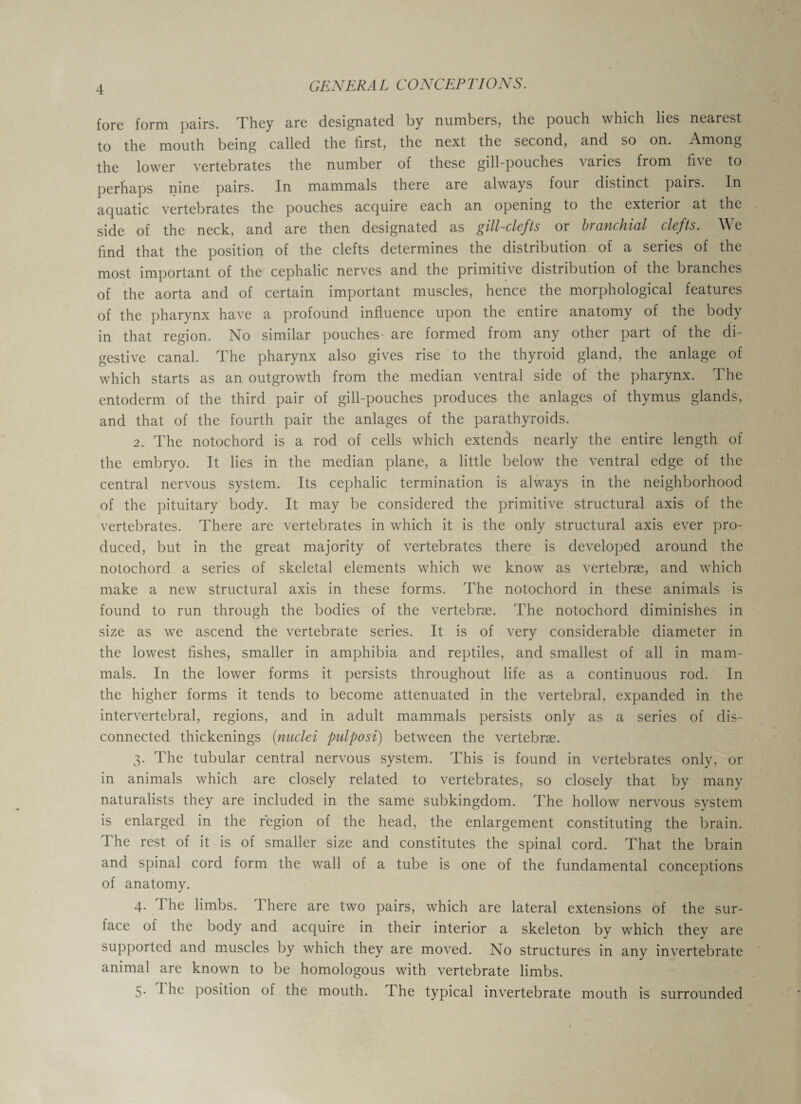 fore form pairs. They are designated by numbers, the pouch which lies nearest to the mouth being called the first, the next the second, and so on. Among the lower vertebrates the number of these gill-pouches varies from five to perhaps nine pairs. In mammals there are always four distinct pairs. In aquatic vertebrates the pouches acquire each an opening to the exterior at the side of the neck, and are then designated as gill-clcfts or bvdnchidl clefts. \\ e find that the position of the clefts determines the distribution of a series of the most important of the cephalic nerves and the primitive distribution of the branches of the aorta and of certain important muscles, hence the morphological features of the pharynx have a profound influence upon the entire anatomy of the body in that region. No similar pouches- are formed from any other part of the di¬ gestive canal. The pharynx also gives rise to the thyroid gland, the anlage of which starts as an outgrowth from the median ventral side of the pharynx. The entoderm of the third pair of gill-pouches produces the anlages of thymus glands, and that of the fourth pair the anlages of the parathyroids. 2. The notochord is a rod of cells which extends nearly the entire length of the embryo. It lies in the median plane, a little below the ventral edge of the central nervous system. Its cephalic termination is always in the neighborhood of the pituitary body. It may be considered the primitive structural axis of the vertebrates. There are vertebrates in which it is the only structural axis ever pro¬ duced, but in the great majority of vertebrates there is developed around the notochord a series of skeletal elements which we know as vertebrae, and which make a new structural axis in these forms. The notochord in these animals is found to run through the bodies of the vertebrae. The notochord diminishes in size as we ascend the vertebrate series. It is of very considerable diameter in the lowest fishes, smaller in amphibia and reptiles, and smallest of all in mam¬ mals. In the lower forms it persists throughout life as a continuous rod. In the higher forms it tends to become attenuated in the vertebral, expanded in the intervertebral, regions, and in adult mammals persists only as a series of dis¬ connected thickenings {nuclei pulposi) between the vertebrae. 3. The tubular central nervous system. This is found in vertebrates only, or in animals which are closely related to vertebrates, so closely that by many naturalists they are included in the same subkingdom. The hollow nervous system is enlarged in the region of the head, the enlargement constituting the brain. The rest of it is of smaller size and constitutes the spinal cord. That the brain and spinal cord form the wall of a tube is one of the fundamental conceptions of anatomy. 4. I he limbs. I here are two pairs, which are lateral extensions of the sur- tace of the body and acquire in their interior a skeleton by which they are supported and muscles by which they are moved. No structures in any invertebrate animal are known to be homologous with vertebrate limbs. 5. I he position of the mouth. I he typical invertebrate mouth is surrounded