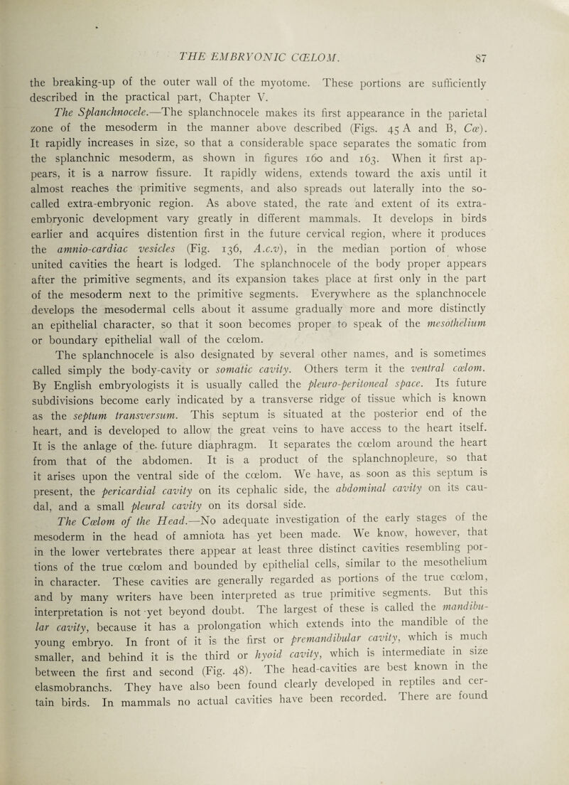 the breaking-up of the outer wall of the myotome. These portions are sufficiently described in the practical part, Chapter V. The Splanchnocele.—The splanchnocele makes its first appearance in the parietal zone of the mesoderm in the manner above described (Figs. 45 A and B, Coe). It rapidly increases in size, so that a considerable space separates the somatic from the splanchnic mesoderm, as shown in figures 160 and 163. When it first ap¬ pears, it is a narrow fissure. It rapidly widens, extends toward the axis until it almost reaches the primitive segments, and also spreads out laterally into the so- called extra-embryonic region. As above stated, the rate and extent of its extra- embryonic development vary greatly in different mammals. It develops in birds earlier and acquires distention first in the future cervical region, where it produces the amnio-cardiac vesicles (Fig. 136, A.c.v), in the median portion of whose united cavities the heart is lodged. The splanchnocele of the body proper appears after the primitive segments, and its expansion takes place at first only in the part of the mesoderm next to the primitive segments. Everywhere as the splanchnocele develops the mesodermal cells about it assume gradually more and more distinctly an epithelial character, so that it soon becomes proper to speak of the mesothelium or boundary epithelial wall of the coelom. The splanchnocele is also designated by several other names, and is sometimes called simply the body-cavity or somatic cavity. Others term it the ventral coelom. By English embryologists it is usually called the pleuro-peritoneal space. Its future subdivisions become early indicated by a transverse ridge of tissue which is known as the septum transversum. This septum is situated at the posterior end of the heart, and is developed to allow the great veins to have access to the heart itself. It is the anlage of the. future diaphragm. It separates the coelom around the heart from that of the abdomen. It is a product of the splanchnopleure, so that it arises upon the ventral side of the coelom. We have, as soon as this septum is present, the pericardial cavity on its cephalic side, the abdominal cavity on its cau¬ dal, and a small pleural cavity on its dorsal side. The Coelom of the Head— No adequate investigation of the early stages of the mesoderm in the head of amniota has yet been made. We know, however, that in the lower vertebrates there appear at least three distinct cawtieb resembling por¬ tions of the true coelom and bounded by epithelial cells, similar to the mesothelium in character. These cavities are generally regarded as portions of the true coelom, and by many writers have been interpreted as true primiti\e segments. But this interpretation is not yet beyond doubt. the largest of these is called the mandibu lar cavity, because it has a prolongation which extends into the mandible of the young embryo. In front of it is the first or premandibulat cavity, which is. much smaller, and behind it is the third or hyoid cavity, which is intermediate m size between the first and second (Fig. 48). The head-cavities are best known in the elasmobranchs. They have also been found clearly developed in reptiles and cer¬ tain birds. In mammals no actual cavities have been recorded. There are found