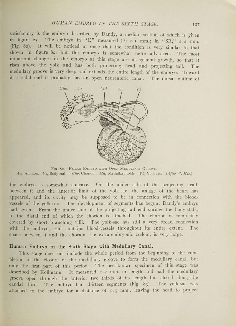 satisfactory is the embryo described by Dandy, a median section of which is given in figure 25. The embryo in “E” measured (?) 2.1 mm.; in “SR,” 2.2 mm. (Fig. 82). It will be noticed at once that the condition is very similar to that shown in figure 80, but the embryo is somewhat more advanced. The most important changes in the embryo at this stage are its general growth, so that it rises above the yolk and has both projecting head and projecting tail. The medullary groove is very deep and extends the entire length of the embryo. Toward its caudal end it probably has an open neurenteric canal. The dorsal outline of Cho. b.s. Md. Am. Yk. Fig. 82.—Human Embryo with Open Medullary Groove. A m, Amnion, b.s, Body-stalk. Cho, Chorion. Md, Medullary folds. Yk, Yolk-sac.—{After W. His.) the embryo is somewhat concave. On the under side of the projecting head, between it and the anterior limit of the yolk-sac, the anlage of the heart has appeared, and its cavity may be supposed to be in connection with the blood¬ vessels of the yolk-sac. The development of segments has begun; Dandy’s embryo had seven. From the under side of the projecting tail end springs the body-stalk, to the distal end of which the chorion is attached. The chorion is completely covered by short branching villi. The yolk-sac has still a very broad connection with the embryo, and contains blood-vessels throughout its entire extent. The space between it and the chorion, the extra-embryonic coelom, is very large. Human Embryo in the Sixth Stage with Medullary Canal. This stage does not include the whole period from the beginning to the com¬ pletion of the closure of the medullary groove to form the medullary canal, but only the first part of this period. The best-known specimen of this stage was described by Kollmann. It measured 2.2 mm. in length and had the medullary groove open through the anterior two thirds of its length, but closed along the caudal third. The embryo had thirteen segments (Fig. 83). The yolk-sac was attached to the embryo for a distance of 1.5 mm., leaving the head to project