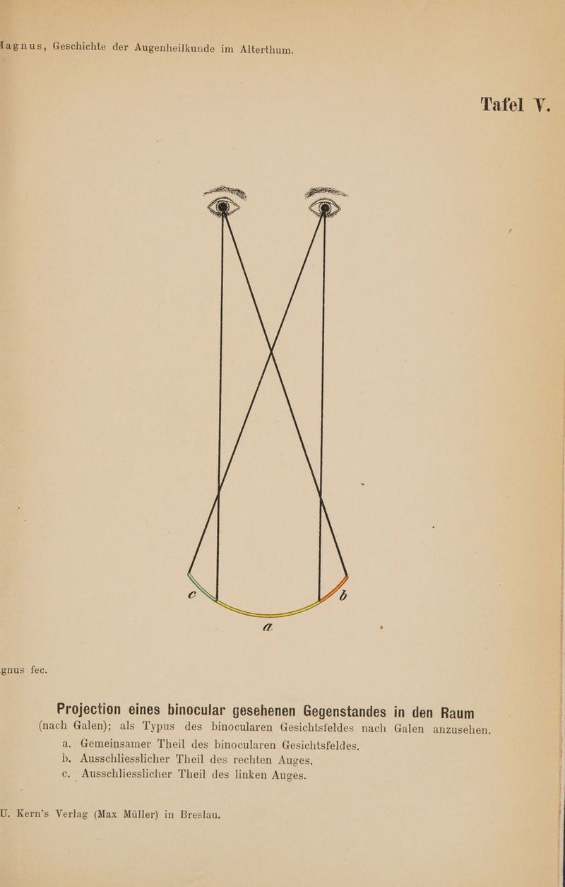 Tafel V. gnus fec. Projection eines binocular gesehenen Gegenstandes in den Raum (nach Galen); als Typus des binocularen Gesichtsfeldes nach Galen anzusehen. a. Gemeinsamer Theil des binocularen Gesichtsfeldes. b. Ausschliesslicher Theil des rechten Auges. c. Ausschliesslicher Theil des linken Auges.