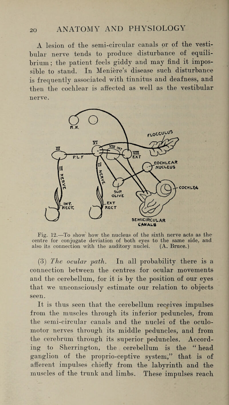 A lesion of tlie semi-circular canals or of the vesti¬ bular nerve tends to produce disturbance of equili¬ brium; the patient feels giddy and may find it impos¬ sible to stand. In Meniere’s disease such disturbance is frequently associated with tinnitus and deafness, and then the cochlear is affected as well as the vestibular nerve. Fig. 12.—To show how the nucleus of the sixth nerve acts as the centre for conjugate deviation of both eyes to the same side, and also its connection with the auditory nuclei. (A. Bruce.) (3) The ocular path. In all probability there is a connection between the centres for ocular movements and the cerebellum, for it is by the position of our eyes that we unconsciously estimate our relation to objects seen. It is thus seen that the cerebellum receives impulses from the muscles through its inferior peduncles, from the semi-circular canals and the nuclei of the oculo¬ motor nerves through its middle peduncles, and from the cerebrum through its superior peduncles. Accord¬ ing to Sherrington, the cerebellum is the “ head ganglion of the proprio-ceptive system,” that is of afferent impulses chiefly from the labyrinth and the muscles of the trunk and limbs. These impulses reach