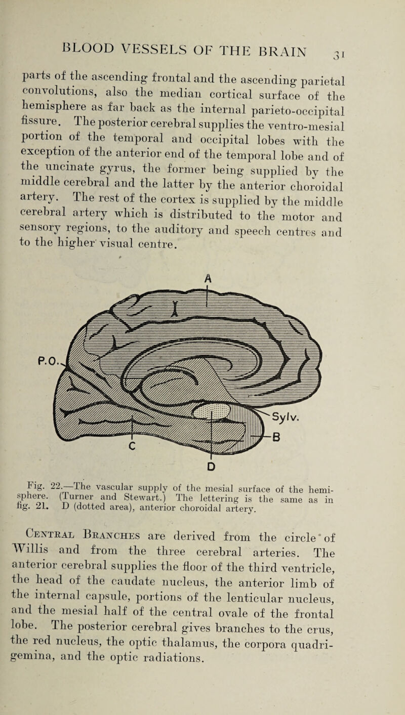 parts of the ascending frontal and tlie ascending parietal convolutions, also the median cortical surface of the hemisphere as far hack as the internal parieto-occipital fissure. The posterior cerebral supplies the ventro-mesial portion of the temporal and occipital lobes with the exception of the anterior end of the temporal lobe and of the uncinate gyrus, the former being supplied by the middle cerebral and the latter by the anterior choroidal artery. The rest of the cortex is supplied by the middle cerebral artery which is distributed to the motor and sensory regions, to the auditory and speech centres and to the higher'visual centre. A lig. 22-—-T he vascular supply of the mesial surface of the hemi- sp ere. (Turner and Stewart.) 1 he lettering is the same as in hg. 21. D (dotted area), anterior choroidal artery. Central Branches are derived from the circle “of Willis and from the three cerebral arteries. The anterior cerebral supplies the floor of the third ventricle, the head of the caudate nucleus, the anterior limb of the internal capsule, portions of the lenticular nucleus, and the mesial half of the central ovale of the frontal lobe. The posterior cerebral gives branches to the crus, the red nucleus, the optic thalamus, the corpora quadri- gemina, and the optic radiations.