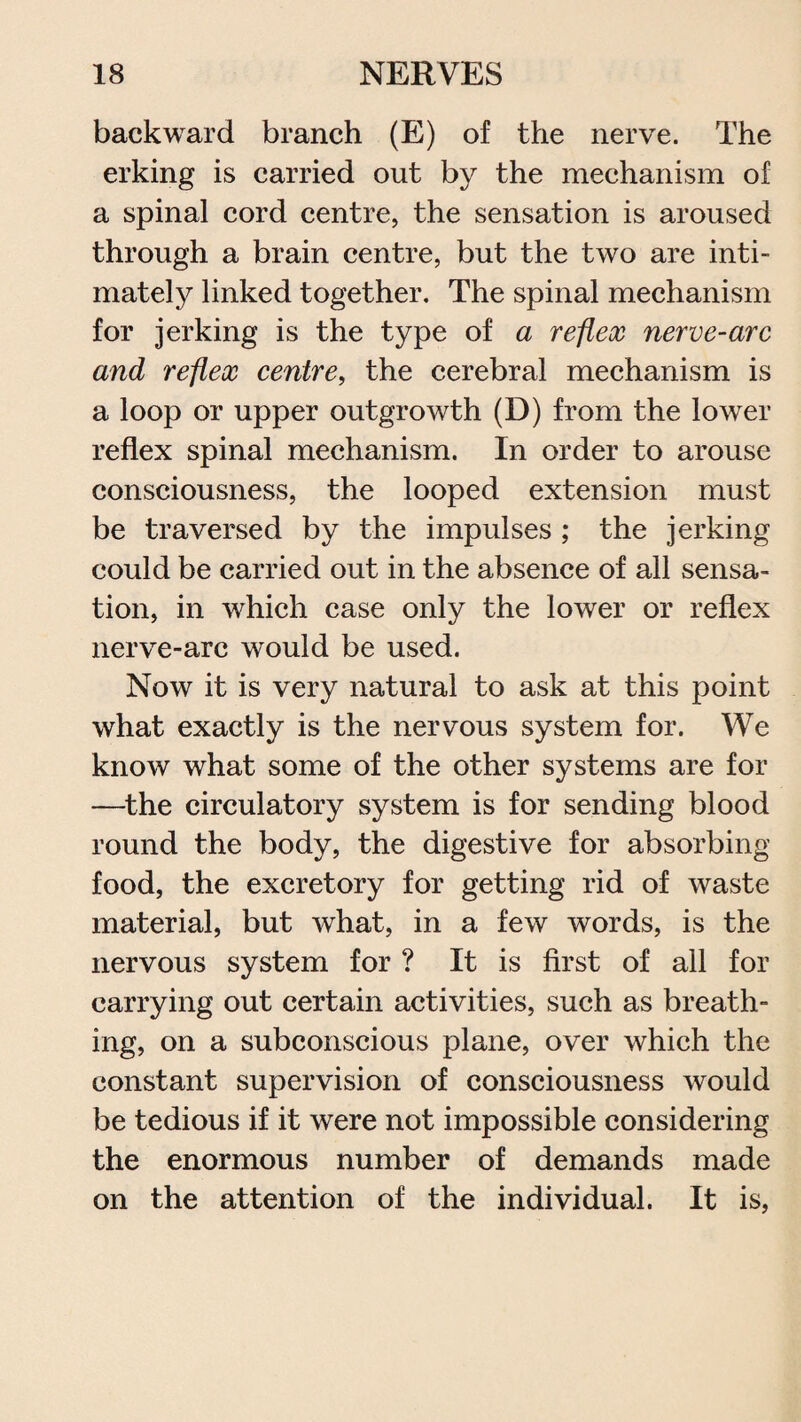 backward branch (E) of the nerve. The erking is carried out by the mechanism of a spinal cord centre, the sensation is aroused through a brain centre, but the two are inti¬ mately linked together. The spinal mechanism for jerking is the type of a reflex nerve-arc and reflex centre, the cerebral mechanism is a loop or upper outgrowth (D) from the lower reflex spinal mechanism. In order to arouse consciousness, the looped extension must be traversed by the impulses ; the jerking could be carried out in the absence of all sensa¬ tion, in which case only the lower or reflex nerve-arc would be used. Now it is very natural to ask at this point what exactly is the nervous system for. We know what some of the other systems are for —the circulatory system is for sending blood round the body, the digestive for absorbing food, the excretory for getting rid of waste material, but what, in a few words, is the nervous system for ? It is first of all for carrying out certain activities, such as breath¬ ing, on a subconscious plane, over which the constant supervision of consciousness would be tedious if it were not impossible considering the enormous number of demands made on the attention of the individual. It is,
