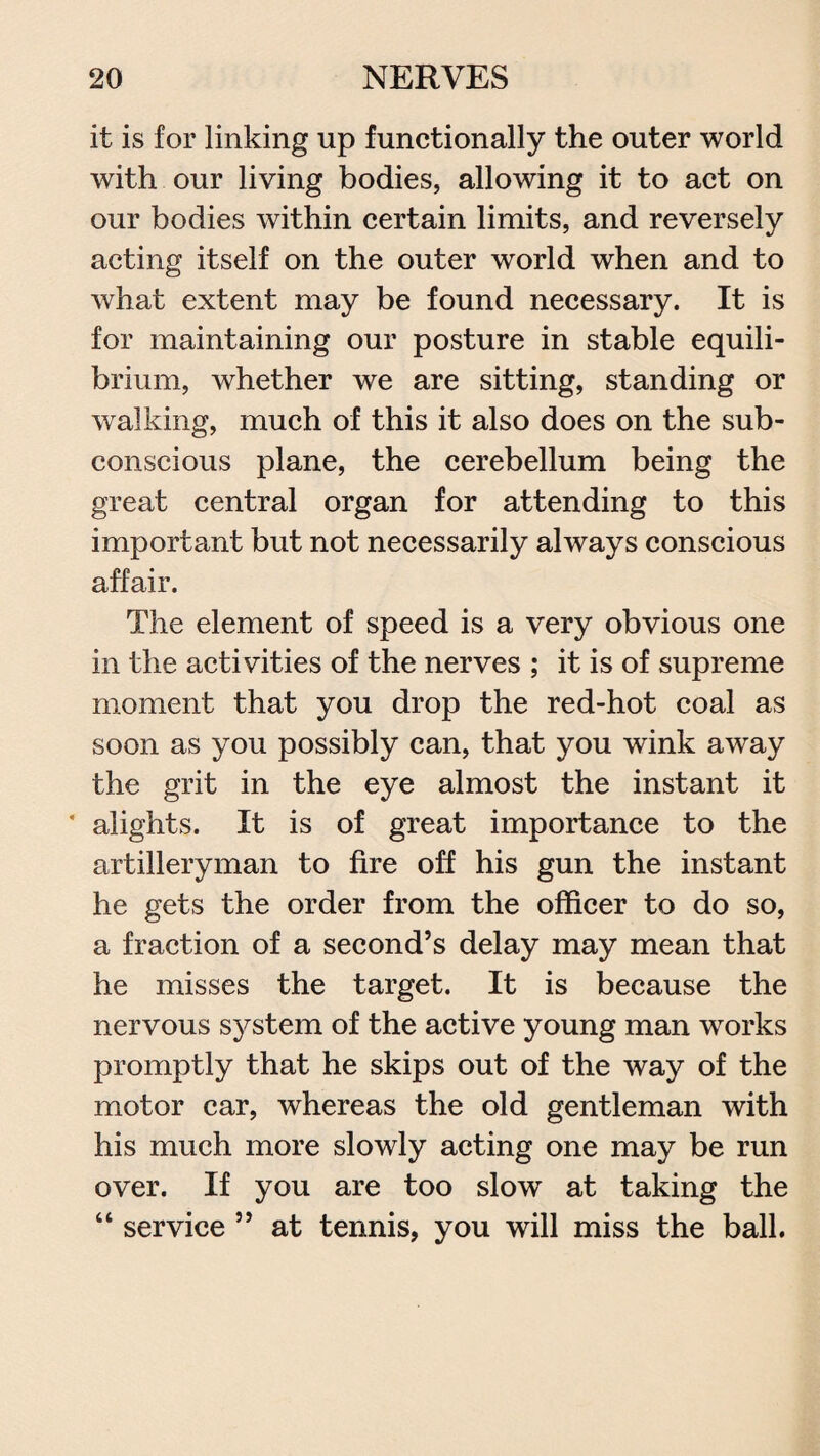 it is for linking up functionally the outer world with our living bodies, allowing it to act on our bodies within certain limits, and reversely acting itself on the outer world when and to what extent may be found necessary. It is for maintaining our posture in stable equili¬ brium, whether we are sitting, standing or walking, much of this it also does on the sub¬ conscious plane, the cerebellum being the great central organ for attending to this important but not necessarily always conscious affair. The element of speed is a very obvious one in the activities of the nerves ; it is of supreme moment that you drop the red-hot coal as soon as you possibly can, that you wink away the grit in the eye almost the instant it • alights. It is of great importance to the artilleryman to fire off his gun the instant he gets the order from the officer to do so, a fraction of a second’s delay may mean that he misses the target. It is because the nervous system of the active young man works promptly that he skips out of the way of the motor car, whereas the old gentleman with his much more slowly acting one may be run over. If you are too slow at taking the “ service ” at tennis, you will miss the ball.