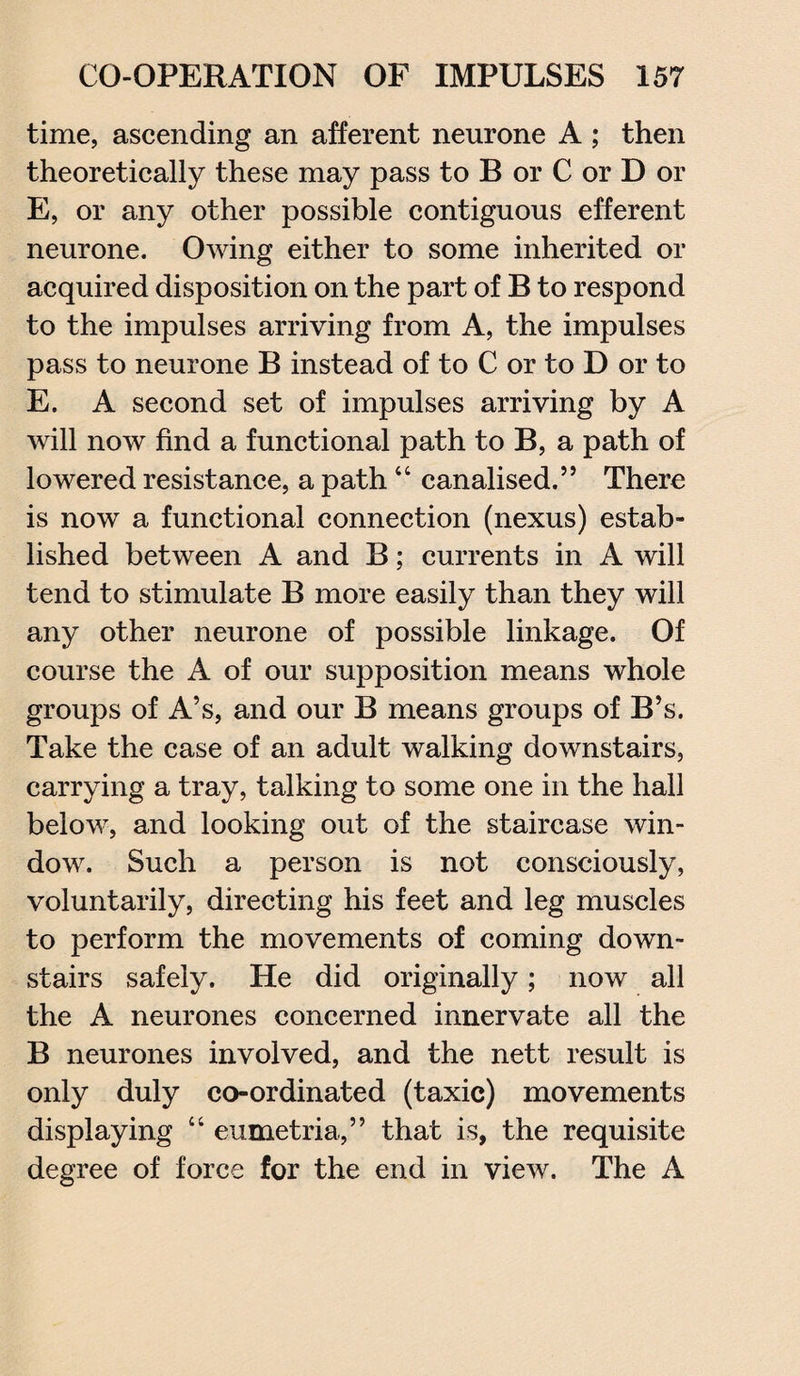 time, ascending an afferent neurone A ; then theoretically these may pass to B or C or D or E, or any other possible contiguous efferent neurone. Owing either to some inherited or acquired disposition on the part of B to respond to the impulses arriving from A, the impulses pass to neurone B instead of to C or to D or to E. A second set of impulses arriving by A will now find a functional path to B, a path of lowered resistance, a path “ canalised.” There is now a functional connection (nexus) estab¬ lished between A and B; currents in A will tend to stimulate B more easily than they will any other neurone of possible linkage. Of course the A of our supposition means whole groups of A’s, and our B means groups of B’s. Take the case of an adult walking downstairs, carrying a tray, talking to some one in the hall below, and looking out of the staircase win¬ dow. Such a person is not consciously, voluntarily, directing his feet and leg muscles to perform the movements of coming down¬ stairs safely. He did originally; now all the A neurones concerned innervate all the B neurones involved, and the nett result is only duly co-ordinated (taxic) movements displaying “ eumetria,” that is, the requisite degree of force for the end in view. The A