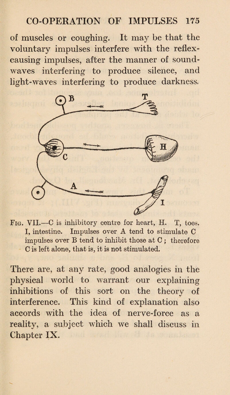of muscles or coughing. It may be that the voluntary impulses interfere with the reflex- causing impulses, after the manner of sound¬ waves interfering to produce silence, and light-waves interfering to produce darkness. Fig. VII.—C is inhibitory centre for heart, H. T, toes. I, intestine. Impulses over A tend to stimulate C impulses over B tend to inhibit those at C ; therefore C is left alone, that is, it is not stimulated. There are, at any rate, good analogies in the physical world to warrant our explaining inhibitions of this sort on the theory of interference. This kind of explanation also accords with the idea of nerve-force as a reality, a subject which we shall discuss in Chapter IX.