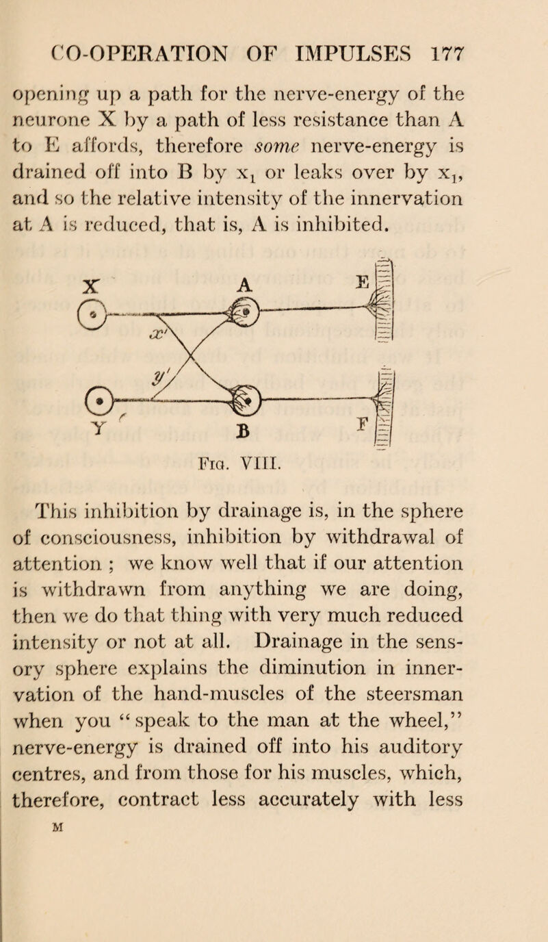opening up a path for the nerve-energy of the neurone X by a path of less resistance than A to E affords, therefore some nerve-energy is drained off into B by xl or leaks over by xl9 and so the relative intensity of the innervation at A is reduced, that is, A is inhibited. This inhibition by drainage is, in the sphere of consciousness, inhibition by withdrawal of attention ; we know well that if our attention is withdrawn from anything we are doing, then we do that thing with very much reduced intensity or not at all. Drainage in the sens¬ ory sphere explains the diminution in inner¬ vation of the hand-muscles of the steersman when you “ speak to the man at the wheel,” nerve-energy is drained off into his auditory centres, and from those for his muscles, which, therefore, contract less accurately with less M