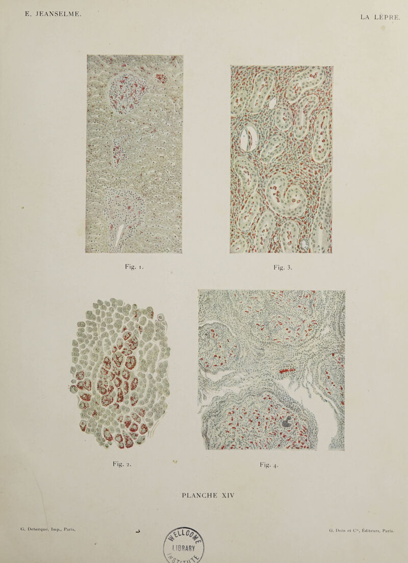 LA LEPRE. O 1 • .Civ • V- ■ * -, ; . . .. .. ' % ' , U ■ - • - . , : p • .* *. j . > * . • ' • • - . • . 'y  Fig. i. Fig. 3. PLANCHE XIV