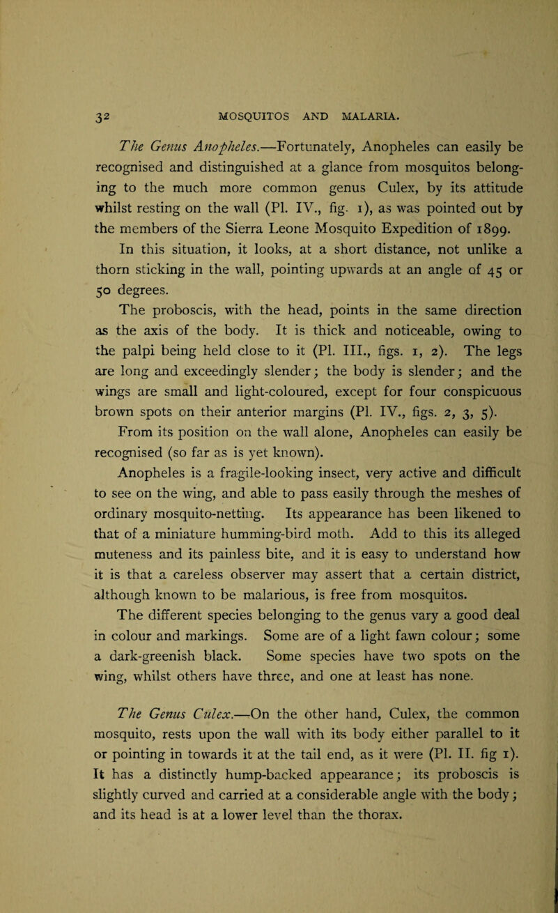 The Genus Anopheles.—Fortunately, Anopheles can easily be recognised and distinguished at a glance from mosquitos belong¬ ing to the much more common genus Culex, by its attitude whilst resting on the wall (PL IV., fig. i), as was pointed out by the members of the Sierra Leone Mosquito Expedition of 1899. In this situation, it looks, at a short distance, not unlike a thorn sticking in the wall, pointing upwards at an angle of 45 or 50 degrees. The proboscis, with the head, points in the same direction as the axis of the body. It is thick and noticeable, owing to the palpi being held close to it (Pl. III., figs. 1, 2). The legs are long and exceedingly slender; the body is slender; and the wings are small and light-coloured, except for four conspicuous brown spots on their anterior margins (Pl. IV., figs. 2, 3, 5). From its position on the wall alone, Anopheles can easily be recognised (so far as is yet known). Anopheles is a fragile-looking insect, very active and difficult to see on the wing, and able to pass easily through the meshes of ordinary mosquito-netting. Its appearance has been likened to that of a miniature humming-bird moth. Add to this its alleged muteness and its painless bite, and it is easy to understand how it is that a careless observer may assert that a certain district, although known to be malarious, is free from mosquitos. The different species belonging to the genus vary a good deal in colour and markings. Some are of a light fawn colour; some a dark-greenish black. Some species have two spots on the wing, whilst others have three, and one at least has none. The Genus Culex.—On the other hand, Culex, the common mosquito, rests upon the wall with its body either parallel to it or pointing in towards it at the tail end, as it were (PL II. fig 1). It has a distinctly hump-backed appearance; its proboscis is slightly curved and carried at a considerable angle with the body; and its head is at a lower level than the thorax.