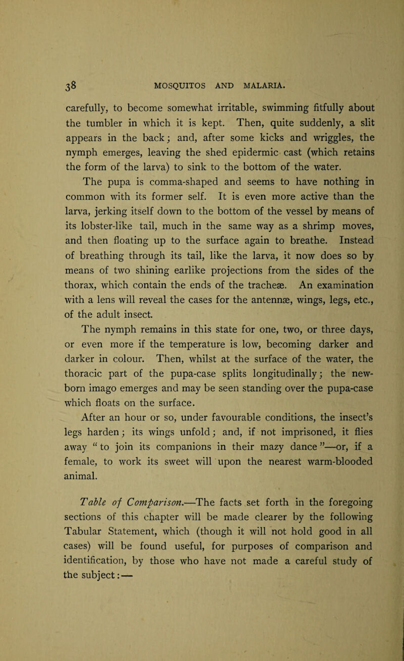 carefully, to become somewhat irritable, swimming fitfully about the tumbler in which it is kept. Then, quite suddenly, a slit appears in the back; and, after some kicks and wriggles, the nymph emerges, leaving the shed epidermic cast (which retains the form of the larva) to sink to the bottom of the water. The pupa is comma-shaped and seems to have nothing in common with its former self. It is even more active than the larva, jerking itself down to the bottom of the vessel by means of its lobster-like tail, much in the same way as a shrimp moves, and then floating up to the surface again to breathe. Instead of breathing through its tail, like the larva, it now does so by means of two shining earlike projections from the sides of the thorax, which contain the ends of the tracheas. An examination with a lens will reveal the cases for the antennae, wings, legs, etc., of the adult insect. The nymph remains in this state for one, two, or three days, or even more if the temperature is low, becoming darker and darker in colour. Then, whilst at the surface of the water, the thoracic part of the pupa-case splits longitudinally; the new¬ born imago emerges and may be seen standing over the pupa-case which floats on the surface. After an hour or so, under favourable conditions, the insect’s legs harden; its wings unfold; and, if not imprisoned, it flies away “ to join its companions in their mazy dance ”—or, if a female, to work its sweet will upon the nearest warm-blooded animal. Table of Comparison.—The facts set forth in the foregoing sections of this chapter will be made clearer by the following Tabular Statement, which (though it will not hold good in all cases) will be found useful, for purposes of comparison and identification, by those who have not made a careful study of the subject: —