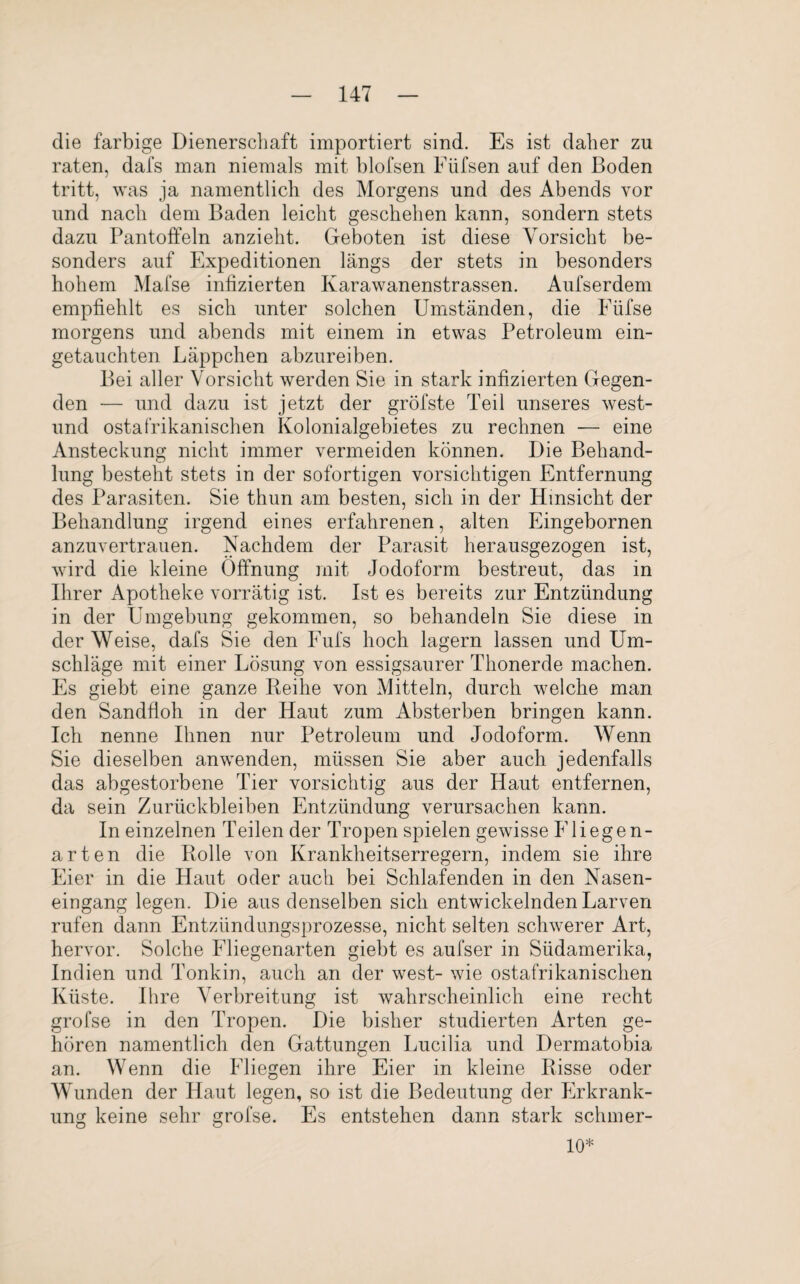 die farbige Dienerschaft importiert sind. Es ist daher zu raten, dafs man niemals mit blofsen Füfsen auf den Boden tritt, was ja namentlich des Morgens und des Abends vor und nach dem Baden leicht geschehen kann, sondern stets dazu Pantoffeln anzieht. Geboten ist diese Vorsicht be¬ sonders auf Expeditionen längs der stets in besonders hohem Mafse infizierten Karawanenstrassen. Aufserdem empfiehlt es sich unter solchen Umständen, die Fiifse morgens und abends mit einem in etwas Petroleum ein¬ getauchten Läppchen abzureiben. Bei aller Vorsicht werden Sie in stark infizierten Gegen¬ den — und dazu ist jetzt der gröfste Teil unseres west- und ostafrikanischen Kolonialgebietes zu rechnen — eine Ansteckung nicht immer vermeiden können. Die Behand¬ lung besteht stets in der sofortigen vorsichtigen Entfernung des Parasiten. Sie thun am besten, sich in der Hinsicht der Behandlung irgend eines erfahrenen, alten Eingebornen anzuvertrauen. Nachdem der Parasit herausgezogen ist, wird die kleine Öffnung mit Jodoform bestreut, das in Ihrer Apotheke vorrätig ist. Ist es bereits zur Entzündung in der Umgebung gekommen, so behandeln Sie diese in der Weise, dafs Sie den Fufs hoch lagern lassen und Um¬ schläge mit einer Lösung von essigsaurer Thonerde machen. Es giebt eine ganze Reihe von Mitteln, durch welche man den Sandfloh in der Haut zum Absterben bringen kann. Ich nenne Ihnen nur Petroleum und Jodoform. Wenn Sie dieselben anwenden, müssen Sie aber auch jedenfalls das abgestorbene Tier vorsichtig aus der Haut entfernen, da sein Zurückbleiben Entzündung verursachen kann. In einzelnen Teilen der Tropen spielen gewisse Fliegen¬ arten die Rolle von Krankheitserregern, indem sie ihre Eier in die Haut oder auch bei Schlafenden in den Nasen¬ eingang legen. Die aus denselben sich entwickelnden Larven rufen dann Entziindungsprozesse, nicht selten schwerer Art, hervor. Solche Fliegenarten giebt es aufser in Südamerika, Indien und Tonkin, auch an der west- wie ostafrikanischen Küste. Ihre Verbreitung ist wahrscheinlich eine recht grofse in den Tropen. Die bisher studierten Arten ge¬ hören namentlich den Gattungen Lucilia und Dermatobia an. Wenn die Fliegen ihre Eier in kleine Risse oder Wunden der Haut legen, so ist die Bedeutung der Erkrank¬ ung keine sehr grofse. Es entstehen dann stark schmer- 10*