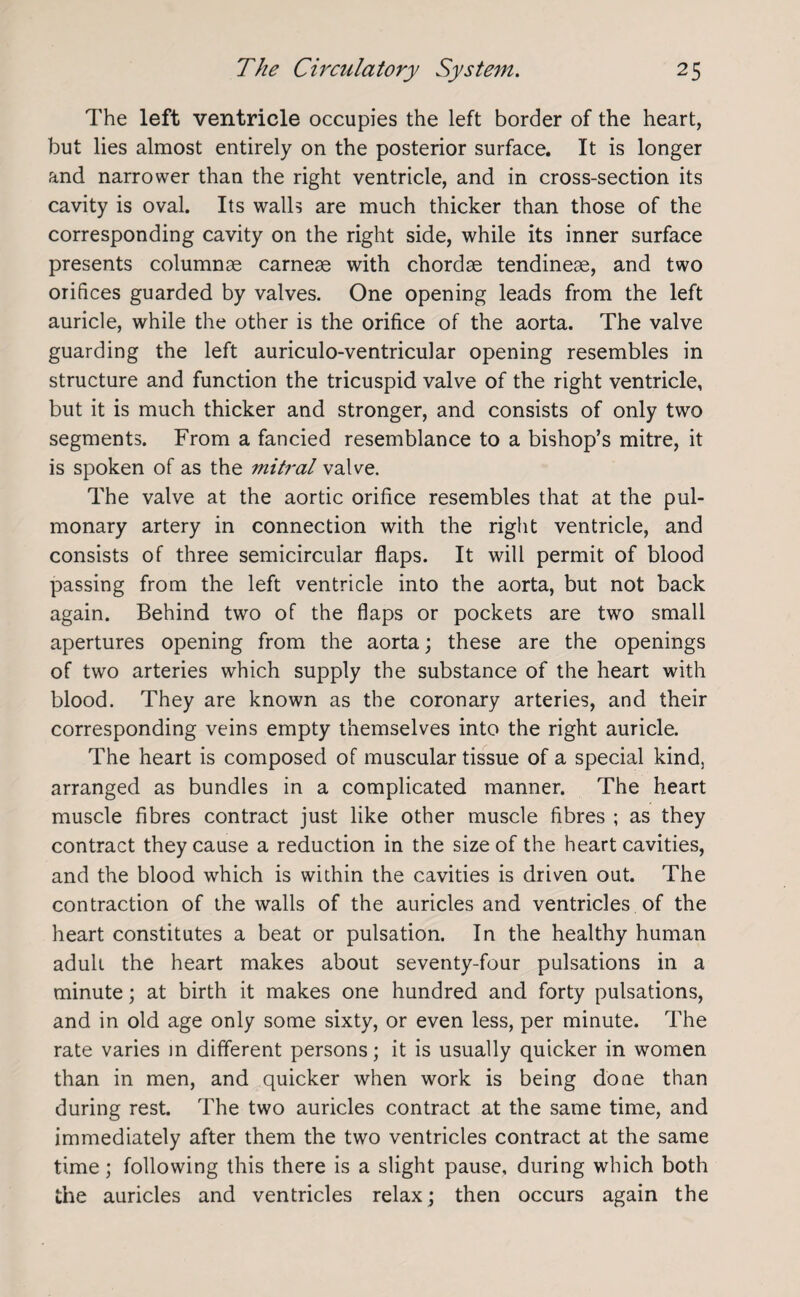 The left ventricle occupies the left border of the heart, but lies almost entirely on the posterior surface. It is longer and narrower than the right ventricle, and in cross-section its cavity is oval. Its walls are much thicker than those of the corresponding cavity on the right side, while its inner surface presents columnae carneae with chordae tendineae, and two orifices guarded by valves. One opening leads from the left auricle, while the other is the orifice of the aorta. The valve guarding the left auriculo-ventricular opening resembles in structure and function the tricuspid valve of the right ventricle, but it is much thicker and stronger, and consists of only two segments. From a fancied resemblance to a bishop’s mitre, it is spoken of as the mitral valve. The valve at the aortic orifice resembles that at the pul¬ monary artery in connection with the right ventricle, and consists of three semicircular flaps. It will permit of blood passing from the left ventricle into the aorta, but not back again. Behind two of the flaps or pockets are two small apertures opening from the aorta; these are the openings of two arteries which supply the substance of the heart with blood. They are known as the coronary arteries, and their corresponding veins empty themselves into the right auricle. The heart is composed of muscular tissue of a special kind, arranged as bundles in a complicated manner. The heart muscle fibres contract just like other muscle fibres ; as they contract they cause a reduction in the size of the heart cavities, and the blood which is within the cavities is driven out. The contraction of the walls of the auricles and ventricles of the heart constitutes a beat or pulsation. In the healthy human adult the heart makes about seventy-four pulsations in a minute; at birth it makes one hundred and forty pulsations, and in old age only some sixty, or even less, per minute. The rate varies in different persons; it is usually quicker in women than in men, and quicker when work is being done than during rest. The two auricles contract at the same time, and immediately after them the two ventricles contract at the same time; following this there is a slight pause, during which both the auricles and ventricles relax; then occurs again the