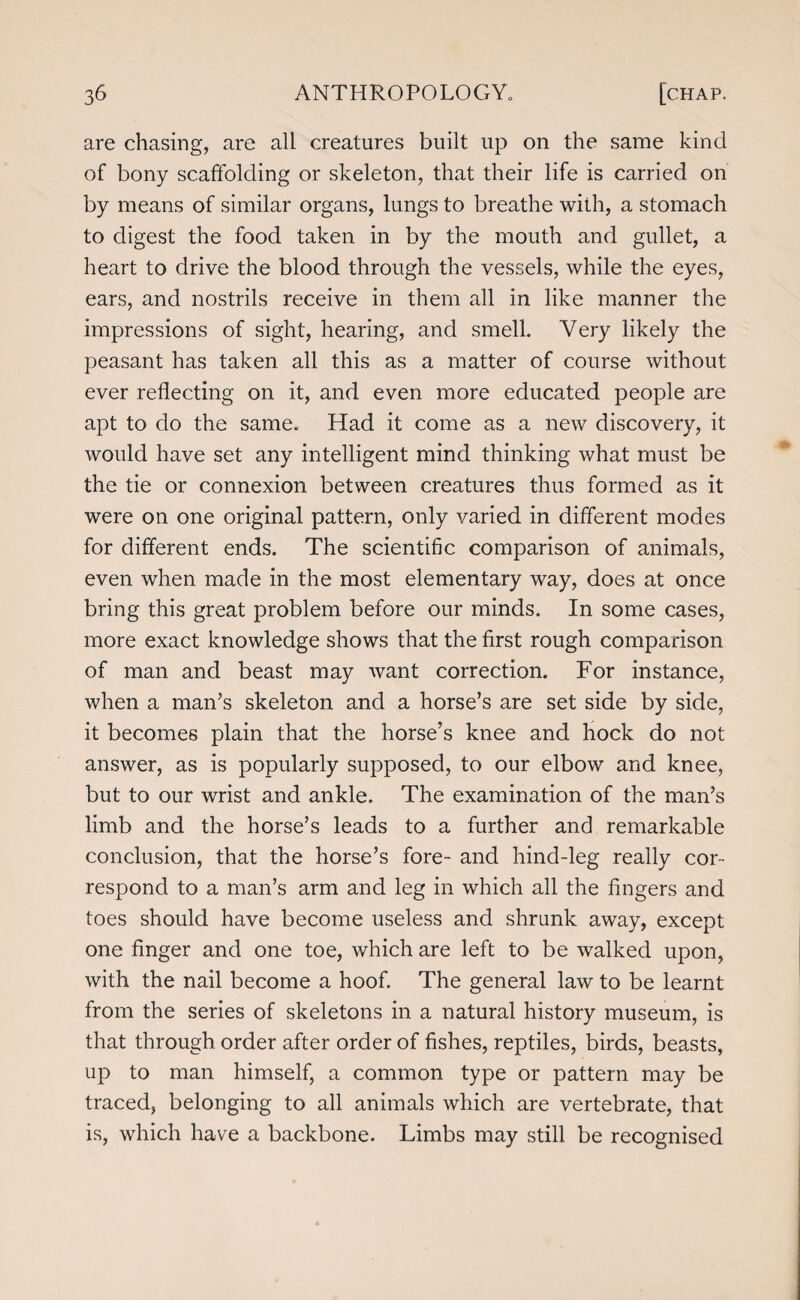 are chasing, are all creatures built up on the same kind of bony scaffolding or skeleton, that their life is carried on by means of similar organs, lungs to breathe with, a stomach to digest the food taken in by the mouth and gullet, a heart to drive the blood through the vessels, while the eyes, ears, and nostrils receive in them all in like manner the impressions of sight, hearing, and smell. Very likely the peasant has taken all this as a matter of course without ever reflecting on it, and even more educated people are apt to do the same. Had it come as a new discovery, it would have set any intelligent mind thinking what must be the tie or connexion between creatures thus formed as it were on one original pattern, only varied in different modes for different ends. The scientific comparison of animals, even when made in the most elementary way, does at once bring this great problem before our minds. In some cases, more exact knowledge shows that the first rough comparison of man and beast may want correction. For instance, when a man’s skeleton and a horse’s are set side by side, it becomes plain that the horse’s knee and hock do not answer, as is popularly supposed, to our elbow and knee, but to our wrist and ankle. The examination of the man’s limb and the horse’s leads to a further and remarkable conclusion, that the horse’s fore- and hind-leg really cor¬ respond to a man’s arm and leg in which all the fingers and toes should have become useless and shrunk away, except one finger and one toe, which are left to be walked upon, with the nail become a hoof. The general law to be learnt from the series of skeletons in a natural history museum, is that through order after order of fishes, reptiles, birds, beasts, up to man himself, a common type or pattern may be traced, belonging to all animals which are vertebrate, that is, which have a backbone. Limbs may still be recognised
