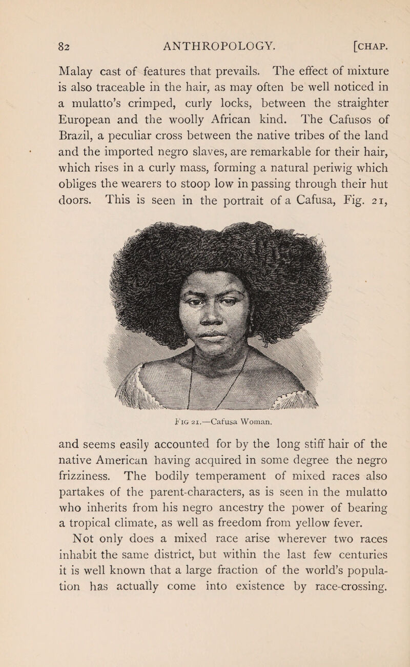 Malay cast of features that prevails. The effect of mixture is also traceable in the hair, as may often be well noticed in a mulatto’s crimped, curly locks, between the straighter European and the woolly African kind. The Cafusos of Brazil, a peculiar cross between the native tribes of the land and the imported negro slaves, are remarkable for their hair, which rises in a curly mass, forming a natural periwig which obliges the wearers to stoop low in passing through their hut doors. This is seen in the portrait of a Cafusa, Fig. 21, Pig 2.x.—Cafusa Woman. and seems easily accounted for by the long stiff hair of the native American having acquired in some degree the negro frizziness. The bodily temperament of mixed races also partakes of the parent-characters, as is seen in the mulatto who inherits from his negro ancestry the power of bearing a tropical climate, as well as freedom from yellow fever. Not only does a mixed race arise wherever two races inhabit the same district, but within the last few centuries it is well known that a large fraction of the world’s popula¬ tion has actually come into existence by race-crossing.