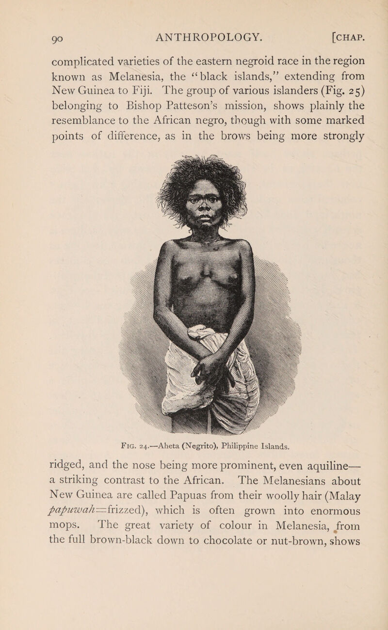 complicated varieties of the eastern negroid race in the region known as Melanesia, the “black islands,” extending from New Guinea to Fiji. The group of various islanders (Fig. 25) belonging to Bishop Pattesoffs mission, shows plainly the resemblance to the African negro, though with some marked points of difference, as in the brows being more strongly Fig. 24.—Aheta (Negrito), Philippine Islands. ridged, and the nose being more prominent, even aquiline— a striking contrast to the African. The Melanesians about New Guinea are called Papuas from their woolly hair (Malay papuwah—inzzQd), which is often grown into enormous mops. The great variety of colour in Melanesia, from the full brown-black down to chocolate or nut-brown, shows