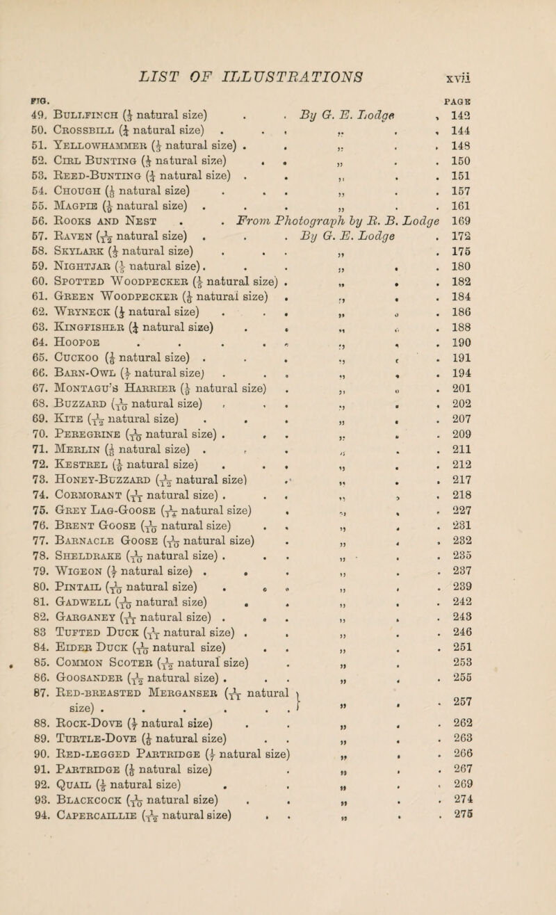 FT o. 49. Bullfinch (J natural size) By G. B. Bodge ft PAGE 142 50. Crossbill (£ natural size) « JT * ft 144 51. Yellowhammer (£ natural size) . • 3? • ft 148 52. Cirl Bunting (J natural size) . ft 33 • 150 53. Reed-Bunting natural size) . • 5 I • • 151 54. Chough natural size) • 33 • 157 55. Magpie (£ natural size) • 33 • • 161 56. Rooks and Nest . . From Photograph by B. B. Bodge 169 67. Raven natural size) • By G. E. Bodge • 172 68. Skylark (J natural size) . 33 • 175 59. Nightjar natural size). • J3 • • 180 60. Spotted Woodpecker (| natural size) • »> • • 182 61. Green Woodpecker (J natural size) • r> • • 184 62. Wryneck (£ natural size) • 3» o • 186 63. Kingfisher (£ natural size) i « 188 64. Hoopoe .... r> •A * ft 190 65. Cuckoo (J natural size) . • *3 C m 191 66. Barn-Owl natural sizej 0 33 * • 194 67. Montagu's Harrier (i natural size) • j, O • 201 68. Buzzard (y1^ natural size) • .*3 • ft 202 69. Kite (Ty natural size) ♦ 33 • . 207 70. Peregrine (T\y natural size) . 3? * • 209 71. Merlin natural size) . , • O • • 211 72. Kestrel ($ natural size) • 3) • • 212 73. Honey-Buzzard (-J- natural size) t ’ • • 217 74. Cormorant (y^ natural size) . « 33 > « 218 75. Grey Lag-Goose (^y natural size) • 'l ft ft 227 76. Brent Goose (x\j natural size) % 33 - • 281 77. Barnacle Goose (y1^ natural size) • 33 4 • 232 78. Sheldrake natural size) . • 33 • • 235 79. Wigeon $ natural size) . . * 33 • • 237 80. Pintail (y1^ natural size) . 0 ft 33 * • 239 81. Gadwell (y\j natural size) . * 33 • • 242 82. Garganey natural size) . • 33 * . 243 83 Tufted Duck (yY natural size) . ft 33 • 246 84. Eider Duck natural size) • 33 • • 251 85. Common Scoter (Jy natural size) • 3) 253 86. Goosander (yy natural size) . • 33 * • 255 87. Red-breasted Merganser natural sizg) • • • • • • } » • 257 88. Rock-Dove natural size) • 33 • • 262 89. Turtle-Dove (£ natural size) 33 • . 263 90. Red-legged Partridge (f natural size) 33 • • 266 91. Partridge (J natural size) ft • • 267 92. Quail (£ natural size) • 31 • « 269 93. Blackcock (y1^ natural size) ft 33 • . 274 94. Capercaillie (y1^ natural size) ft >3 * • 275