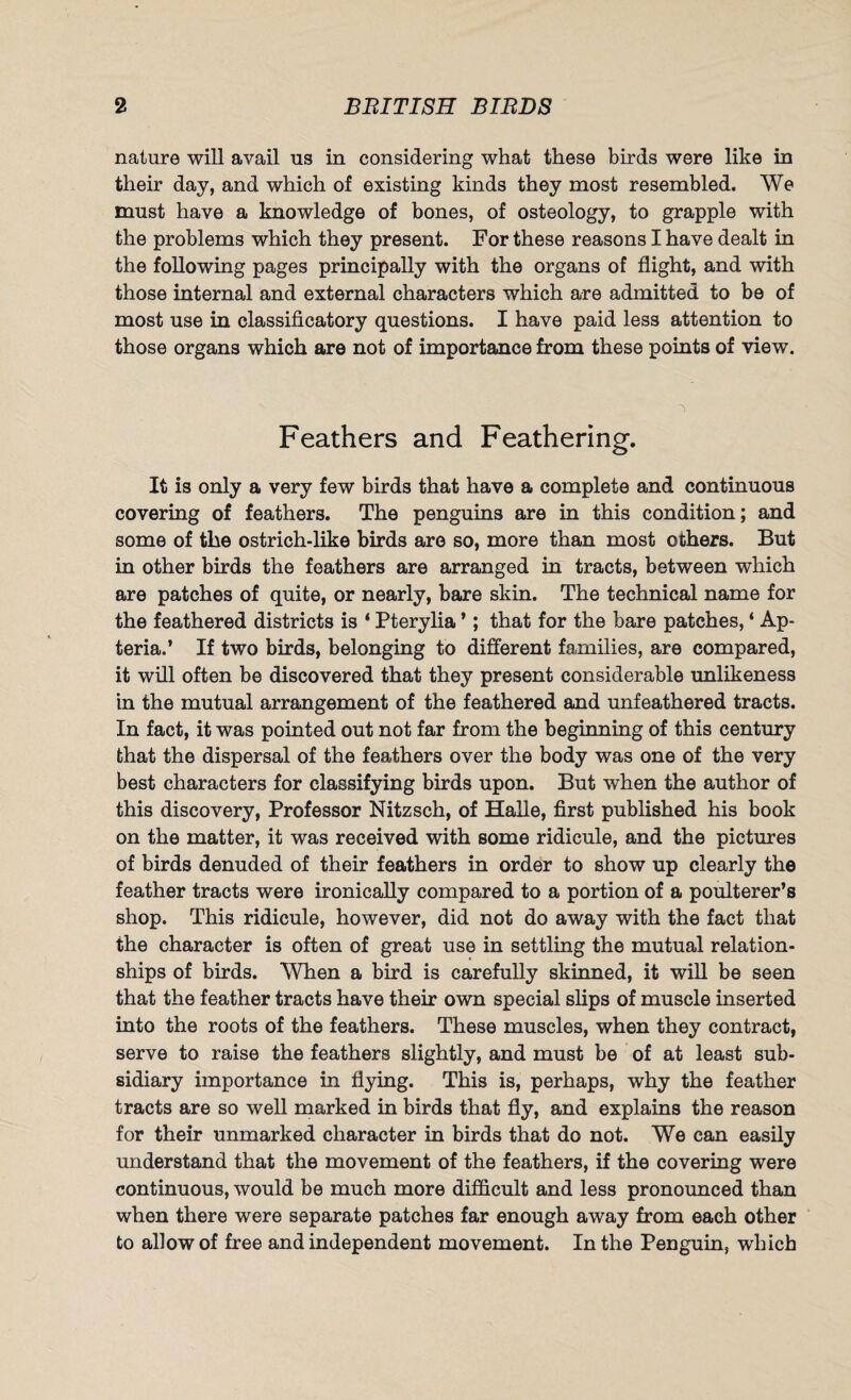 nature will avail us in considering what these birds were like in their day, and which of existing kinds they most resembled. We must have a knowledge of bones, of osteology, to grapple with the problems which they present. For these reasons I have dealt in the following pages principally with the organs of flight, and with those internal and external characters which are admitted to be of most use in classificatory questions. I have paid less attention to those organs which are not of importance from these points of view. Feathers and Feathering. It is only a very few birds that have a complete and continuous covering of feathers. The penguins are in this condition; and some of the ostrich-like birds are so, more than most others. But in other birds the feathers are arranged in tracts, between which are patches of quite, or nearly, bare skin. The technical name for the feathered districts is ‘ Pterylia *; that for the bare patches, ‘ Ap- teria.’ If two birds, belonging to different families, are compared, it will often be discovered that they present considerable unlikeness in the mutual arrangement of the feathered and unfeathered tracts. In fact, it was pointed out not far from the beginning of this century that the dispersal of the feathers over the body was one of the very best characters for classifying birds upon. But when the author of this discovery, Professor Nitzsch, of Halle, first published his book on the matter, it was received with some ridicule, and the pictures of birds denuded of their feathers in order to show up clearly the feather tracts were ironically compared to a portion of a poulterer’s shop. This ridicule, however, did not do away with the fact that the character is often of great use in settling the mutual relation¬ ships of birds. When a bird is carefully skinned, it will be seen that the feather tracts have their own special slips of muscle inserted into the roots of the feathers. These muscles, when they contract, serve to raise the feathers slightly, and must be of at least sub¬ sidiary importance in flying. This is, perhaps, why the feather tracts are so well marked in birds that fly, and explains the reason for their unmarked character in birds that do not. We can easily understand that the movement of the feathers, if the covering were continuous, would be much more difficult and less pronounced than when there were separate patches far enough away from each other to allow of free and independent movement. In the Penguin, which