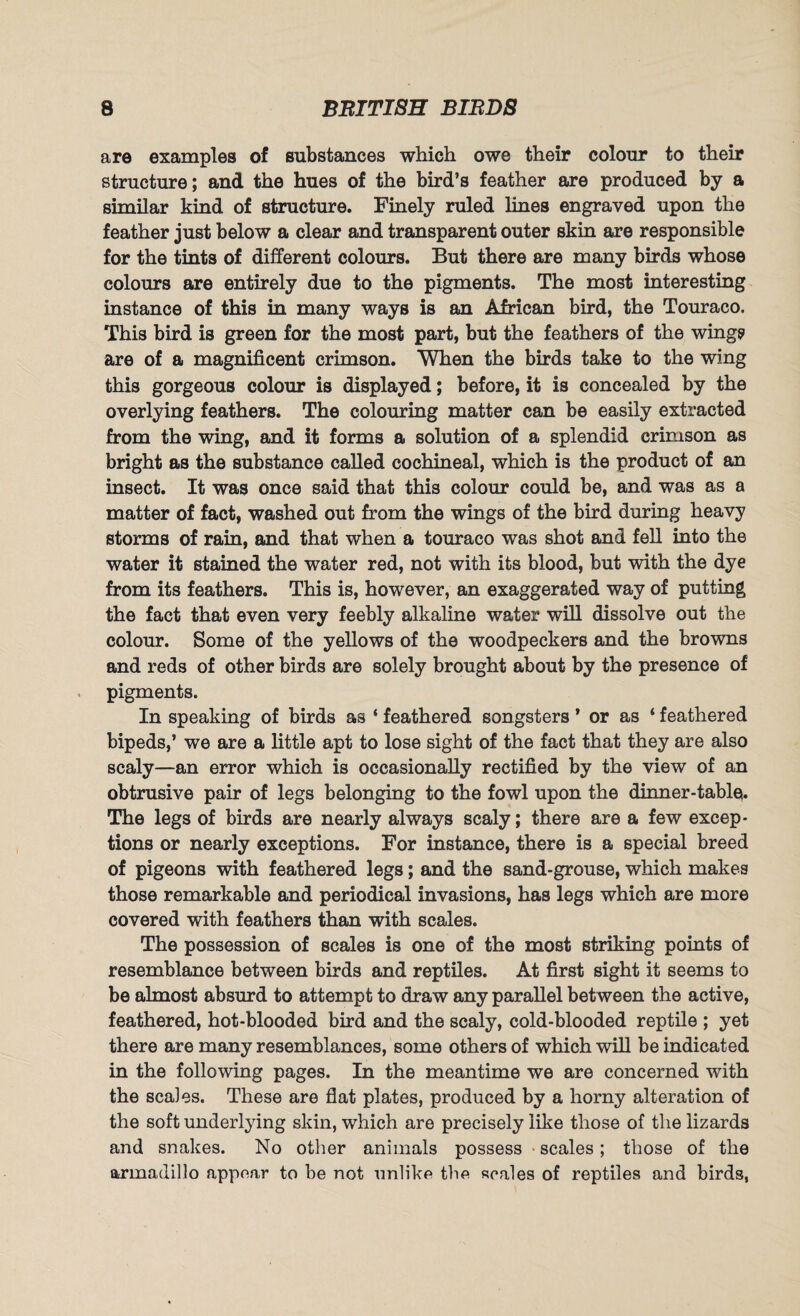 are examples of substances which owe their colour to their structure; and the hues of the bird’s feather are produced by a similar kind of structure. Finely ruled lines engraved upon the feather just below a clear and transparent outer skin are responsible for the tints of different colours. But there are many birds whose colours are entirely due to the pigments. The most interesting instance of this in many ways is an African bird, the Touraco. This bird is green for the most part, but the feathers of the wing? are of a magnificent crimson. When the birds take to the wing this gorgeous colour is displayed; before, it is concealed by the overlying feathers. The colouring matter can be easily extracted from the wing, and it forms a solution of a splendid crimson as bright as the substance called cochineal, which is the product of an insect. It was once said that this colour could be, and was as a matter of fact, washed out from the wings of the bird during heavy storms of rain, and that when a touraco was shot and fell into the water it stained the water red, not with its blood, but with the dye from its feathers. This is, however, an exaggerated way of putting the fact that even very feebly alkaline water will dissolve out the colour. Some of the yellows of the woodpeckers and the browns and reds of other birds are solely brought about by the presence of pigments. In speaking of birds as ‘ feathered songsters ’ or as 4 feathered bipeds,’ we are a little apt to lose sight of the fact that they are also scaly—an error which is occasionally rectified by the view of an obtrusive pair of legs belonging to the fowl upon the dinner-table. The legs of birds are nearly always scaly; there are a few excep¬ tions or nearly exceptions. For instance, there is a special breed of pigeons with feathered legs; and the sand-grouse, which makes those remarkable and periodical invasions, has legs which are more covered with feathers than with scales. The possession of scales is one of the most striking points of resemblance between birds and reptiles. At first sight it seems to be almost absurd to attempt to draw any parallel between the active, feathered, hot-blooded bird and the scaly, cold-blooded reptile ; yet there are many resemblances, some others of which will be indicated in the following pages. In the meantime we are concerned with the scales. These are flat plates, produced by a horny alteration of the soft underlying skin, which are precisely like those of the lizards and snakes. No other animals possess scales; those of the armadillo appear to be not unlike the scales of reptiles and birds,