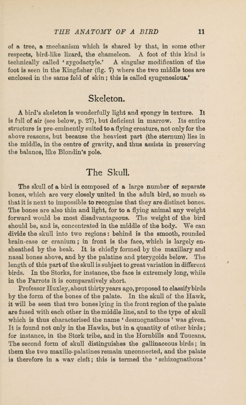 of a tree, a mechanism which is shared by that, in some other respects, bird-like lizard, the chameleon. A foot of this kind is technically called ‘ zygodactyle.’ A singular modification of the foot is seen in the Kingfisher (fig. 7) where the two middle toes are enclosed in the same fold of skin ; this is called syngenesious.’ Skeleton. A bird’s skeleton is wonderfully light and spongy in texture. It is hill of air (see below, p. 27), but deficient in marrow. Its entire structure is pre-eminently suited to a flying creature, not only for the above reasons, but because the heaviest part (the sternum) lies in the middle, in the centre of gravity, and thus assists in preserving the balance, like Blondin’s pole. The Skull. The skull of a bird is composed of a large number of separate bones, which are very closely united in the adult bird, so much s6 that it is next to impossible to recognise that they are distinct bones. The bones are also thin and light, for to a flying animal any weight forward would be most disadvantageous. The weight of the bird should be, and is, concentrated in the middle of the body. We can divide the skull into two regions: behind is the smooth, rounded brain-case or cranium; in front is the face, which is largely en- sheathed by the beak. It is chiefly formed by the maxillary and nasal bones above, and by the palatine and pterygoids below. The length of this part of the skull is subject to great variation in different birds. In the Storks, for instance, the face is extremely long, while in the Parrots it is comparatively short. Professor Huxley, about thirty years ago, proposed to classify birds by the form of the bones of the palate. In the skull of the Hawk, it will be seen that two bones lying in the front region of the palate are fused with each other in the middle line, and to the type of skull which is thus characterised the name ‘ desmognathous ’ was given. It is found not only in the Hawks, but in a quantity of other birds; for instance, in the Stork tribe, and in the Hornbills and Toucans. The second form of skull distinguishes the gallinaceous birds; in them the two maxillo-palatines remain unconnected, and the palate is therefore in a way cleft; this is termed the ‘ schizognathous ’