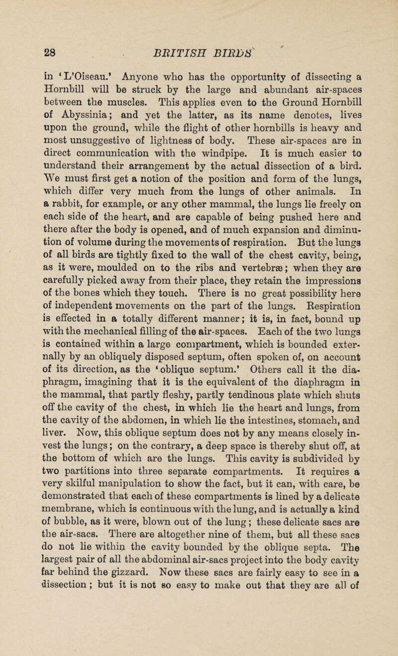 in ‘L’Oiseau.’ Anyone who has the opportunity of dissecting a Hornbill will he struck by the large and abundant air-spaces between the muscles. This applies even to the Ground Hornbill of Abyssinia; and yet the latter, as its name denotes, lives upon the ground, while the flight of other hornbills is heavy and most unsuggestive of lightness of body. These air-spaces are in direct communication with the windpipe. It is much easier to understand their arrangement by the actual dissection of a bird. We must first get a notion of the position and form of the lungs, which differ very much from the lungs of other animals. In a rabbit, for example, or any other mammal, the lungs lie freely on each side of the heart, and are capable of being pushed here and there after the body is opened, and of much expansion and diminu¬ tion of volume during the movements of respiration. But the lungs of all birds are tightly fixed to the wall of the chest cavity, being, as it were, moulded on to the ribs and vertebrae; when they are carefully picked away from their place, they retain the impressions of the bones which they touch. There is no great possibility here of independent movements on the part of the lungs. Respiration is effected in a totally different manner; it is, in fact, bound up with the mechanical filling of the air-spaces. Each of the two lungs is contained within a large compartment, which is bounded exter¬ nally by an obliquely disposed septum, often spoken of, on account of its direction, as the ‘ oblique septum.’ Others call it the dia¬ phragm, imagining that it is the equivalent of the diaphragm in the mammal, that partly fleshy, partly tendinous plate which shuts off the cavity of the chest, in which lie the heart and lungs, from the cavity of the abdomen, in which lie the intestines, stomach, and liver. Now, this oblique septum does not by any means closely in¬ vest the lungs; on the contrary, a deep space is thereby shut off, at the bottom of which are the lungs. This cavity is subdivided by two partitions into three separate compartments. It requires a very skilful manipulation to show the fact, but it can, with care, be demonstrated that each of these compartments is lined by a delicate membrane, which is continuous with the lung, and is actually a kind of bubble, as it were, blown out of the lung; these delicate sacs are the air-sacs. There are altogether nine of them, but all these sacs do not lie within the cavity bounded by the oblique septa. The largest pair of all the abdominal air-sacs project into the body cavity far behind the gizzard. Now these sacs are fairly easy to see in a dissection ; but it is not so easy to make out that they are all of