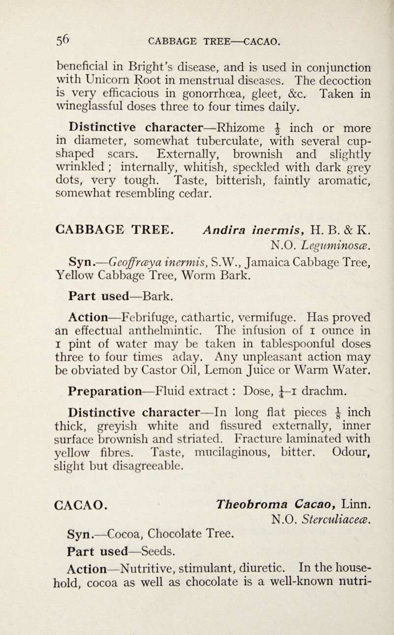beneficial in Bright’s disease, and is used in conjunction with Unicorn Root in menstrual diseases. The decoction is very efficacious in gonorrhoea, gleet, &c. Taken in wineglassful doses three to four times daily. Distinctive character—Rhizome \ inch or more in diameter, somewhat tuberculate, with several cup¬ shaped scars. Externally, brownish and slightly wrinkled ; internally, whitish, speckled with dark grey dots, very tough. Taste, bitterish, faintly aromatic, somewhat resembling cedar. CABBAGE TREE. Andira inermis, H. B. & K. N.O. Legnminosce. Syn.—Geoffrceya inermis, S.W., Jamaica Cabbage Tree, Yellow Cabbage Tree, Worm Bark. Part used—Bark. Action—Febrifuge, cathartic, vermifuge. Has proved an effectual anthelmintic. The infusion of i ounce in i pint of water may be taken in tablespoonful doses three to four times aday. Any unpleasant action may be obviated by Castor Oil, Lemon Juice or Warm Water. Preparation—Fluid extract : Dose, J-i drachm. Distinctive character—In long flat pieces -J inch thick, greyish white and fissured externally, inner surface brownish and striated. Fracture laminated with yellow fibres. Taste, mucilaginous, bitter. Odour, slight but disagreeable. CACAO. Theobroma Cacao, Linn. N.O. Sterculiacece. Syn.- -Cocoa, Chocolate Tree. Part used—Seeds. Action—Nutritive, stimulant, diuretic. In the house¬ hold, cocoa as well as chocolate is a well-known nutri-