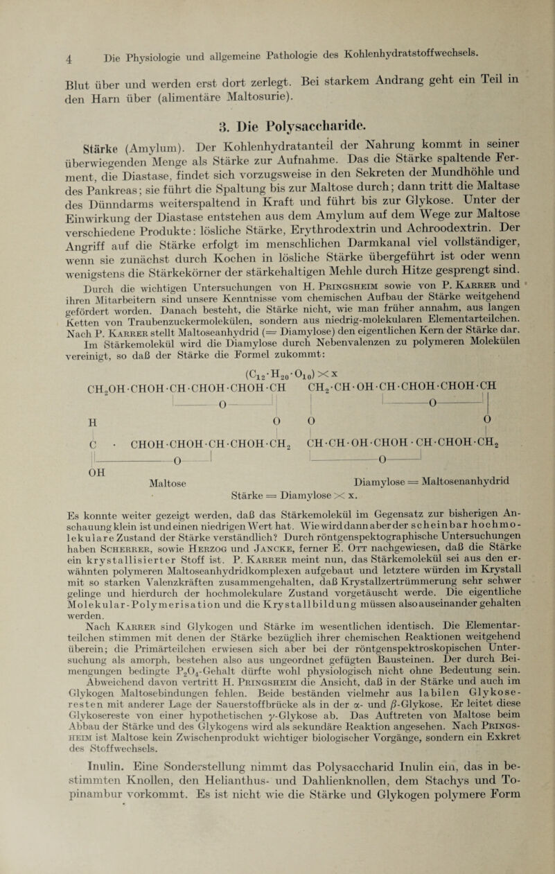 Blut über und werden erst dort zerlegt. Bei starkem Andrang geht ein Teil in den Harn über (alimentäre Maltosurie). 3. Die Polysaccharide. Stärke (Amylum). Der Kohlenhydratanteil der Nahrung kommt in seiner überwiegenden Menge als Stärke zur Aufnahme. Das die Stärke spaltende Fer¬ ment. die Diastase, findet sich vorzugsweise in den Sekreten der Mundhöhle und des Pankreas; sie führt die Spaltung bis zur Maltose durch; dann tritt die Maltase des Dünndarms weiterspaltend in Kraft und führt bis zur Glykose. Unter der Einwirkung der Diastase entstehen aus dem Amylum auf dem Wege zur Maltose verschiedene Produkte: lösliche Stärke, Erythrodextrin und Achroodextrin. Der Angriff auf die Stärke erfolgt im menschlichen Darmkanal viel vollständiger, wenn sie zunächst durch Kochen in lösliche Stärke übergeführt ist oder wenn wenigstens die Stärkekörner der stärkehaltigen Mehle durch Hitze gesprengt sind. Durch die wichtigen Untersuchungen von H. Pringsheim sowie von P. Karrer und ihren Mitarbeitern sind unsere Kenntnisse vom chemischen Aufbau der Stärke weitgehend gefördert worden. Danach besteht, die Stärke nicht, wie man früher annahm, aus langen ketten von Traubenzuckermolekülen, sondern aus niedrig-molekularen Elementarteilchen. Nach P. Karrer stellt Maltoseanhydrid (= Diamylose) den eigentlichen Kern der Stärke dar. Im Stärkemolekül wird die Diamylose durch Neben Valenzen zu polymeren Molekülen vereinigt, so daß der Stärke die Formel zukommt: (Gi2* H20' (-ho) ^ x CELOH • CHOH • CH • CHOH • CHOH - CH CH2 • CH • OH • CH • CHOH • CHOH • CH 0 0 H C O CHOH • CHOH • CH • CHOH • CH2 -0 O O CHCHOH-CHOHCHCHOHCH, O- OH Maltose Diamylose = Maltosenanhydrid Stärke = Diamylose X x. Es konnte weiter gezeigt werden, daß das Stärkemolekül im Gegensatz zur bisherigen An¬ schauungklein ist und einen niedrigen Wert hat. Wie wird dann aber der scheinbar hochmo¬ lekulare Zustand der Stärke verständlich? Durch röntgenspektographische Untersuchungen haben Scherrer, sowie Herzog und Jancke, ferner E. Ott nachgewiesen, daß die Stärke ein krystallisierter Stoff ist. P. Karrer meint nun, das Stärkemolekül sei aus den er¬ wähnten polymeren Maltoseanhydridkomplexen aufgebaut und letztere würden im Krystall mit so starken Valenzkräften zusammengehalten, daß Krystallzertrümmerung sehr schwer gelinge und hierdurch der hochmolekulare Zustand vorgetäuscht werde. Die eigentliche Molekular-Polymerisation und die Krystallbildung müssen also auseinander gehalten werden. Nach Karrer sind Glykogen und Stärke im wesentlichen identisch. Die Elementar¬ teilchen stimmen mit denen der Stärke bezüglich ihrer chemischen Reaktionen weitgehend überein; die Primärteilchen erwiesen sich aber bei der röntgenspektroskopischen Unter¬ suchung als amorph, bestehen also aus ungeordnet gefügten Bausteinen. Der durch Bei¬ mengungen bedingte P204-Gehalt dürfte wohl physiologisch nicht ohne Bedeutung sein. Abweichend davon vertritt H. Pringsheim die Ansicht, daß in der Stärke und auch im Glykogen Maltosebindungen fehlen. Beide beständen vielmehr aus labilen Glykose - resten mit anderer Lage der Sauerstoffbrücke als in der a- und ß-Glykose. Er leitet diese Glykosereste von einer hypothetischen y-Glykose ab. Das Auftreten von Maltose beim Abbau der Stärke und des Glykogens wird als sekundäre Reaktion angesehen. Nach Prings¬ heim ist Maltose kein Zwischenprodukt wichtiger biologischer Vorgänge, sondern ein Exkret des Stoffwechsels. Inulin. Eine Sonderstellung nimmt das Polysaccharid Inulin ein, das in be¬ stimmten Knollen, den Helianthus- und Dahlienknollen, dem Stachys und To¬ pinambur vorkommt. Es ist nicht wie die Stärke und Glykogen polymere Form