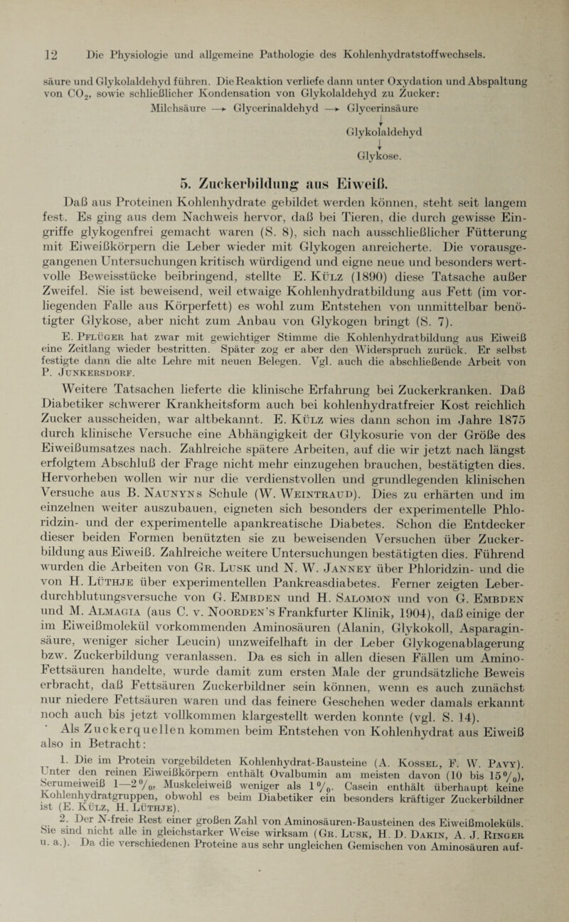säure und Glykolaldehyd führen. Die Reaktion verliefe dann unter Oxydation und Abspaltung von C02, sowie schließlicher Kondensation von Glykolaldehyd zu Zucker: Milchsäure —► Glycerinaldehyd —► Glycerinsäure I Glykolaldehyd 1 Glykose. 5. Zuckerbilthmg aus Eiweiß. Daß aus Proteinen Kohlenhydrate gebildet werden können, steht seit langem fest. Es ging aus dem Nachweis hervor, daß bei Tieren, die durch gewisse Ein¬ griffe glykogenfrei gemacht waren (S. 8), sich nach ausschließlicher Fütterung mit Eiweißkörpern die Leber wieder mit Glykogen anreicherte. Die vorausge¬ gangenen Untersuchungen kritisch würdigend und eigne neue und besonders wert¬ volle Beweisstücke beibringend, stellte E. Külz (1890) diese Tatsache außer Zweifel. Sie ist beweisend, weil etwaige Kohlenhydratbildung aus Fett (im vor¬ liegenden Falle aus Körperfett) es wohl zum Entstehen von unmittelbar benö¬ tigter Glykose, aber nicht zum Anbau von Glykogen bringt (S. 7). E. Pflüger hat zwar mit gewichtiger Stimme die Kohlenhydratbildung aus Eiweiß eine Zeitlang wieder bestritten. Später zog er aber den Widerspruch zurück. Er selbst festigte dann die alte Lehre mit neuen Belegen. Vgl. auch die abschließende Arbeit von P. Junkersdorf. Weitere Tatsachen lieferte die klinische Erfahrung bei Zuckerkranken. Daß Diabetiker schwerer Krankheitsform auch bei kohlenhydratfreier Kost reichlich Zucker ausscheiden, war altbekannt. E. Külz wies dann schon im Jahre 1875 durch klinische Versuche eine Abhängigkeit der Glykosurie von der Größe des Eiweißumsatzes nach. Zahlreiche spätere Arbeiten, auf die wir jetzt nach längst erfolgtem Abschluß der Frage nicht mehr einzugehen brauchen, bestätigten dies. Hervorheben wollen wir nur die verdienstvollen und grundlegenden klinischen Versuche aus B. Naunyns Schule (W. Weintraud). Dies zu erhärten und im einzelnen weiter auszubauen, eigneten sich besonders der experimentelle Phlo¬ ridzin- und der experimentelle apankreatische Diabetes. Schon die Entdecker dieser beiden Formen benützten sie zu beweisenden Versuchen über Zucker¬ bildung aus Eiweiß. Zahlreiche weitere Untersuchungen bestätigten dies. Führend wurden die Arbeiten von Gr. Lusk und N. W. Janney über Phloridzin- und die von H. Lüthje über experimentellen Pankreasdiabetes. Ferner zeigten Leber¬ durchblutungsversuche von G. Embden und H. Salomon und von G. Embden und M. Almagia (aus C. v. No Orden's Frankfurter Klinik, 1904), daß einige der im Eiweißmolekül vorkommenden Aminosäuren (Alanin, Glykokoll, Asparagin- säure, weniger sicher Leucin) unzweifelhaft in der Leber Glykogenablagerung bzw. Zuckerbildung veranlassen. Da es sich in allen diesen Fällen um Amino- Fettsäuren handelte, wurde damit zum ersten Male der grundsätzliche Beweis erbracht, daß Jettsäuren Zuckerbildner sein können, wenn es auch zunächst nur niedere Fettsäuren waren und das feinere Geschehen weder damals erkannt noch auch bis jetzt vollkommen klargestellt werden konnte (vgl. S. 14). Als Zuck er quellen kommen beim Entstehen von Kohlenhydrat aus Eiweiß also in Betracht: 1. Die im Protein vorgebildeten Kohlenhydrat-Bausteine (A. Kossel, F. W. Pavy). Unter den reinen Eiweißkörpern enthält Ovalbumin am meisten davon (10 bis 15%)’ Serumeiweiß 1 2%, Muskeleiweiß weniger als l°/0. Casein enthält überhaupt keine Kohlenhydratgruppen, obwohl es beim Diabetiker ein besonders kräftiger Zuckerbildner ist (E. Külz, H. Lüthje). Ber V-freie Rest einer großen Zahl von Aminosäuren-Bausteinen des Eiweißmoleküls. Sie sind nicht alle in gleichstarker Weise wirksam (Gr. Lusk, H. D. Dakin, A. J. Ringer Da die \ erschiedenen Proteine aus sehr ungleichen Gemischen von Aminosäuren auf-