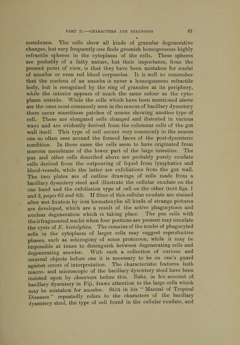 membrane. The cells show all kinds of granular degenerative changes, but very frequently one finds greenish homogeneous highly retractile spheres in the cytoplasm of the cells. These spheres are probably of a fatty nature, but their importance, from the present point of view, is that they have been mistaken for nuclei of amoebae or even red blood corpuscles. It is well to remember that the nucleus of an amoeba is never a homogeneous retractile body, but is recognized by the ring of granules at its periphery, while the interior appears of much the same colour as the cyto¬ plasm outside. While the cells which have been mentioned above are the ones most commonly seen in the mucus of bacillary dysentery there occur sometimes patches of mucus showing another type of cell. These are elongated cells changed and distorted in various ways and are evidently derived from the columnar cells of the gut wall itself. This type of cell occurs very commonly in the mucus one so often sees around the formed faeces of the post-dysenteric condition. In these cases the cells seem to have originated from mucous membrane of the lower part of the large intestine. The pus and other cells described above are probably purely exudate cells derived from the outpouring of liquid from lymphatics and blood-vessels, while the latter are exfoliations from the gut wall. The two plates are of outline drawings of cells made from a bacillary dysentery stool and illustrate the cellular exudate on the one hand and the exfoliation type of cell on the other (text figs. 1 and 2, pages 62 and 63). If films of this cellular exudate are stained after wet fixation by iron haematoxylin all kinds of strange pictures are developed, which are a result of the active phagocytosis and nuclear degeneration which is taking place. The pus cells with their fragmented nuclei when four portions are present may simulate the cysts of E. histolytica. The remains of the nuclei of phagocyted cells in the cytoplasm of larger cells may suggest reproductive phases, such as schizogony of some protozoon, while it may be impossible at times to distinguish between degenerating cells and degenerating amoebae. With such a collection of curious and unusual objects before one it is necessary to be on one’s guard against errors of interpretation. The characteristic features both macro- and microscopic of the bacillary dysentery stool have been insisted upon by observers before this. Bahr, in his account of bacillary dysentery in Fiji, draws attention to the large cells which may be mistaken for amoebae. Stitt in his “ Manual of Tropical Diseases ” repeatedly refers to the characters of the bacillary dysentery stool, the type of cell found in the cellular exudate, and