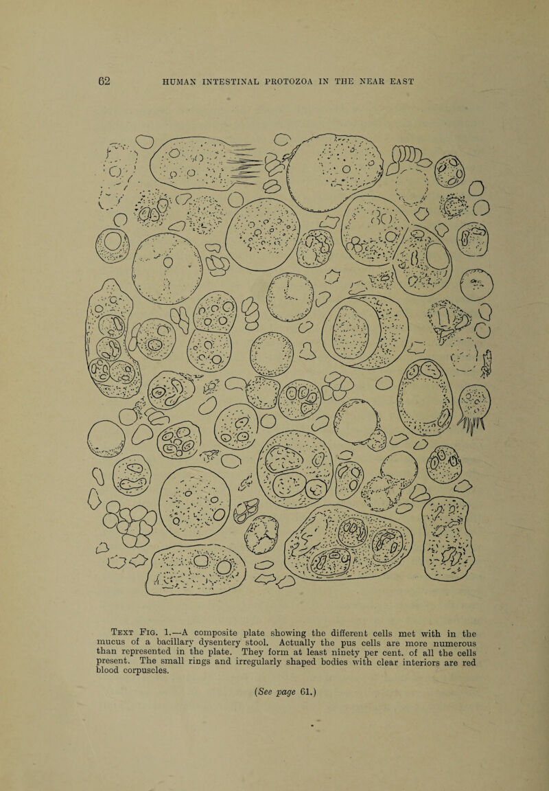 Text Fig. 1.—A composite plate showing the different cells met with in the mucus of a bacillary dysentery stool. Actually the pus cells are more numerous than represented in the plate. They form at least ninety per cent, of all the cells present. The small riugs and irregularly shaped bodies with clear interiors are red blood corpuscles. (See page 61.) Oo