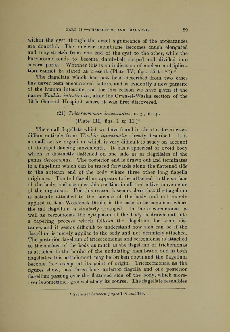 within the cyst, though the exact significance of the appearances are doubtful. The nuclear membrane becomes much elongated and may stretch from one end of the cyst to the other, while the karyosome tends to become dumb-bell shaped and divided into several parts. Whether this is an indication of nuclear multiplica¬ tion cannot be stated at present (Plate IY, figs. 15 to 20).* The flagellate which has just been described from two cases has never been encountered before, and is evidently a new parasite of the human intestine, and for this reason we have given it the name Waskia intestinalis, after the Orwa-el-Waska section of the 19th General Hospital where it was first discovered. (21) Tricercomonas intestinalis, n. g., n. sp. (Plate III, figs. 1 to 11.)* The small flagellate which we have found in about a dozen cases differs entirely from Waskia intestinalis already described. It is a small active organism which is very difficult to study on account of its rapid dancing movements. It has a spherical or ovoid body which is distinctly flattened on one side as in flagellates of the genus Cercomonas. The posterior end is drawn out and terminates in a flagellum which can be traced forwards along the flattened side to the anterior end of the body where three other long flagella originate. The tail flagellum appears to be attached to the surface of the body, and occupies this position in all the active movements of the organism. For this reason it seems clear that the flagellum is actually attached to the surface of the body and not merely applied to it as Woodcock thinks is the case in cercomonas, where the tail flagellum is similarly arranged. In the tricercomonas as well as cercomonas the cytoplasm of the body is drawn out into a tapering process which follows the flagellum for some dis¬ tance, and it seems difficult to understand how this can be if the flagellum is merely applied to the body and not definitely attached. The posterior flagellum of tricercomonas and cercomonas is attached to the surface of the body as much as the flagellum of trichomonas is attached to the border of the undulating membrane, and in both flagellates this attachment may be broken down and the flagellum become free except at its point of origin. Tricercomonas, as the figures show, has three long anterior flagella and one posterior flagellum passing over the flattened side of the body, which more¬ over is sometimes grooved along its course. The flagellate resembles