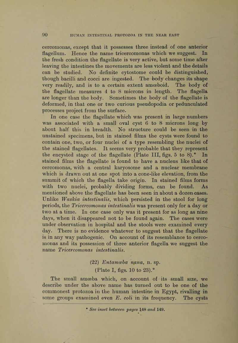 cercomonas, except that it possesses three instead of one anterior flagellum. Hence the name tricercomonas which we suggest. In the fresh condition the flagellate is very active, but some time after leaving the intestines the movements are less violent and the details can be studied. No definite cytostome could be distinguished, though bacilli and cocci are ingested. The body changes its shape very readily, and is to a certain extent amoeboid. The body of the flagellate measures 4 to 8 microns in length. The flagella are longer than the body. Sometimes the body of the flagellate is deformed, in that one or two curious pseudopodia or pedunculated processes project from the surface. In one case the flagellate which was present in large numbers w7as associated with a small oval cyst 6 to 8 microns long by about half this in breadth. No structure could be seen in the unstained specimens, but in stained films the cysts were found to contain one, two, or four nuclei of a type resembling the nuclei of the stained flagellates. It seems very probable that they represent the encysted stage of the flagellate (Plate III, figs. 5 to 8).* In stained films the flagellate is found to have a nucleus like that of cercomonas, with a central karyosome and a nuclear membrane which is drawn out at one spot into a cone-like elevation, from the summit of which the flagella take origin. In stained films forms with two nuclei, probably dividing forms, can be found. As mentioned above the flagellate has been seen in about a dozen cases. Unlike Washia intestinalis, which persisted in the stool for long periods, the Tricercomonas intestinalis was present only for a day or two at a time. In one case only was it present for as long as nine days, when it disappeared not to be found again. The cases were under observation in hospital and the stools were examined every day. There is no evidence whatever to suggest that the flagellate is in any way pathogenic. On account of its resemblance to cerco¬ monas and its possession of three anterior flagella we suggest the name Tricercomonas intestinalis. (22) Entamoeba n(ina, n. sp. (Plate I, figs. 10 to 23).* The small amoeba which, on account of its small size, we describe under the above name has turned out to be one of the commonest protozoa in the human intestine in Egypt, rivalling in some groups examined even E. coli in its frequency. The cysts
