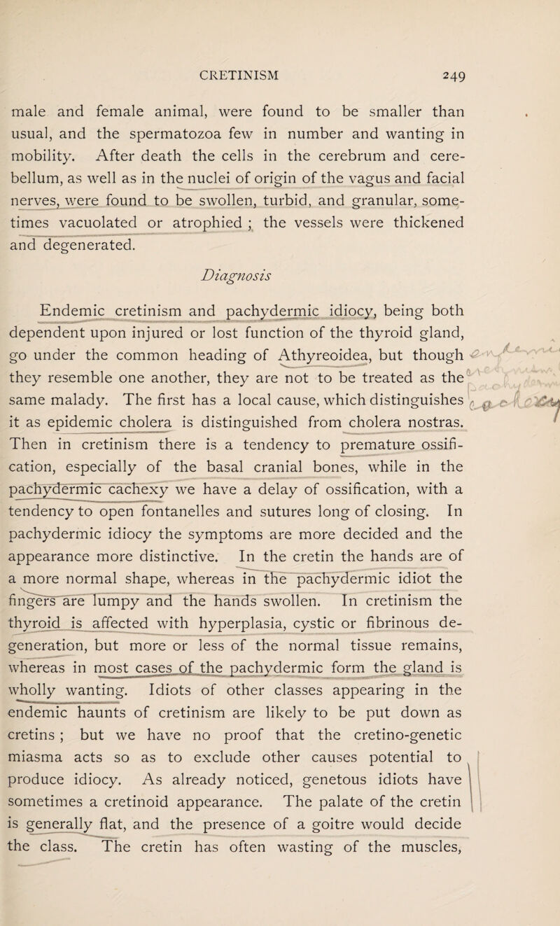 male and female animal, were found to be smaller than usual, and the spermatozoa few in number and wanting in mobility. After death the cells in the cerebrum and cere¬ bellum, as well as in the nuclei of origin of the vagus and facial nerves, were found to be swollen, turbid, and granular, some¬ times vacuolated or atrophied ; the vessels were thickened and degenerated. Diagnosis Endemic cretinism and pachydermic idiocy, being both dependent upon injured or lost function of the thyroid gland, go under the common heading of Athyreoidea, but though they resemble one another, they are not to be treated as the same malady. The first has a local cause, which distinguishes it as epidemic cholera is distinguished from cholera nostras. Then in cretinism there is a tendency to premature ossifi¬ cation, especially of the basal cranial bones, while in the pachydermic cachexy we have a delay of ossification, with a tendency to open fontanelles and sutures long of closing. In pachydermic idiocy the symptoms are more decided and the appearance more distinctive. In the cretin the hands are of a more normal shape, whereas in the pachydermic idiot the fingers are lumpy and the hands swollen. In cretinism the thyroid js affected with hyperplasia, cystic or fibrinous de¬ generation, but more or less of the normal tissue remains, whereas in most cases of the pachydermic form the gland is wholly wanting. Idiots of other classes appearing in the endemic haunts of cretinism are likely to be put down as cretins ; but we have no proof that the cretino-genetic miasma acts so as to exclude other causes potential to produce idiocy. As already noticed, genetous idiots have sometimes a cretinoid appearance. The palate of the cretin is generally flat, and the presence of a goitre would decide the class. The cretin has often wasting of the muscles,