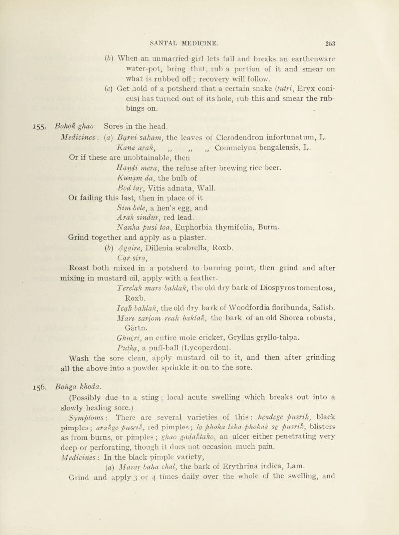 (■b) When an unmarried girl lets fall and breaks an earthenware water-pot, bring that, rub a portion of it and smear on what is rubbed off; recovery will follow. (c) Get hold of a potsherd that a certain snake (tutri, Eryx coni- cus) has turned out of its hole, rub this and smear the rub¬ bings on. 155. Bohok ghao Sores in the head. Medicines : (a) Barni sakam, the leaves of Clerodendron infortunatum, L- Kana arak, „ ,, „ Commelyna bengalensis, L. Or if these are unobtainable, then Handi mera, the refuse after brewing rice beer. Kunam da, the bulb of Bod lar, Vitis adnata, Wall. Or failing this last, then in place of it Sim bele, a hen’s egg, and Arak sindur, red lead. Nanha pusi toa, Euphorbia thymifolia, Burm. Grind together and apply as a plaster. (b) Agaire, Dillenia scabrella, Roxb. Car sir a, Roast both mixed in a potsherd to burning point, then grind and after mixing in mustard oil, apply with a feather. Terelak mare baklak, the old dry bark of Diospyros tomentosa, Roxb. leak baklak, the old dry bark of Woodfordia floribunda, Salisb. Mare sarjom reak baklak, the bark of an old Shorea robusta, Gartn. Ghngri, an entire mole cricket, Gryllus gryllo-talpa. Putka, a puff-ball (Lycoperdon). Wash the sore clean, apply mustard oil to it, and then after grinding all the above into a powder sprinkle it on to the sore. 156. Bohga khoda. (Possibly due to a sting ; local acute swelling which breaks out into a slowly healing sore.) Symptoms: There are several varieties of this: hendege pnsrik, black pimples; arakge pusrik, red pimples; lo phoka leka phokak se pusrik, blisters as from burns, or pimples ; ghao gadaktako, an ulcer either penetrating very deep or perforating, though it does not occasion much pain. Medicines : In the black pimple variety, (a) Marar baha chal, the bark of Erythrina indica, Lam. Grind and apply 3 or 4 times daily over the whole of the swelling, and