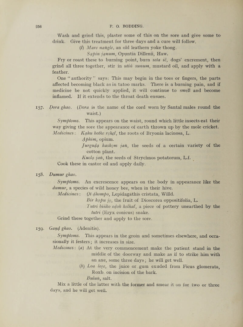 Wash and grind this, plaster some of this on the sore and give some to drink. Give this treatment for three days and a cure will follow. {t) Mare nahgle, an old leathern yoke thong. Sapin janum, Opuntia Dillenii, Haw. Fry or roast these to burning point, burn seta ic, dogs’ excrement, then grind all three together, stir in utin sunum, mustard oil, and apply with a feather. One “authority” says: This may begin in the toes or lingers, the parts affected becoming black as in tatoo marks. There is a burning pain, and if medicine be not quickly applied, it will continue to swell and become inflamed. If it extends to the throat death ensues. 157. Dora ghao. (Dora is the name of the cord worn by Santal males round the waist.) Symptoms. This appears on the waist, round which little insects eat their way giving the sore the appearance of earth thrown up by the mole cricket. Medicines: Kahu botke rehet, the roots of Bryonia lacinosa, L,- Aphim, opium. Jurguda kaskom jail, the seeds of a certain variety of the cotton plant. Kucla jail, the seeds of Strychnos potatorum, E.f. Cook these in castor oil and apply daily. 158. Dumur ghao. Symptoms. An excrescence appears on the body in appearance like the dumur, a species of wild honey bee, when in their hive. Medicines : Ot dhompo, Eepidagathis cristata, Willd. Bir kapu jo, the fruit of Dioscorea oppositifolia, L,. Tutri bihko odok kelhat, a piece of pottery unearthed by the tutri (Eryx conicus) snake. Grind these together and apply to the sore. 159. Gand ghao. (Adenitis). Symptoms. This appears in the groin and sometimes elsewhere, and occa¬ sionally it festers; it increases in size. Medicines: (a) At the very commencement make the patient stand in the middle of the doorway and make as if to strike him with an axe, some three days; he will get well. {b) Loa lore, the juice or gum exuded from Ficus glomerata, Roxb. on incision of the bark. Buluh, salt. Mix a little of the latter with the former and smear it on for two or three days, and he will get well.