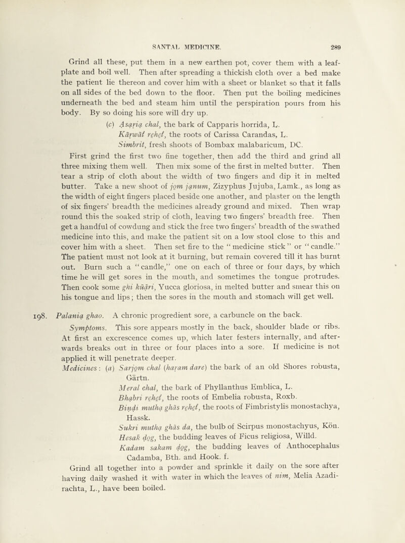 Grind all these, put them in a new earthen pot, cover them with a leaf- plate and boil well. Then after spreading a thickish cloth over a bed make the patient lie thereon and cover him with a sheet or blanket so that it falls on all sides of the bed down to the floor. Then put the boiling medicines underneath the bed and steam him until the perspiration pours from his body. By so doing his sore will dry up. (c) Asariq, chal, the bark of Capparis horrida, B- Karwat rehd, the roots of Carissa Carandas, B. Simbrit, fresh shoots of Bombax malabaricum, DC. First grind the first two fine together, then add the third and grind all three mixing them well. Then mix some of the first in melted butter. Then tear a strip of cloth about the width of two fingers and dip it in melted butter. Take a new shoot of jom janum, Zizyphus Jujuba, Barak., as long as the width of eight fingers placed beside one another, and plaster on the length of six fingers’ breadth the medicines already ground and mixed. Then wrap round this the soaked strip of cloth, leaving two fingers’ breadth free. Then get a handful of cowdung and stick the free two fingers’ breadth of the swathed medicine into this, and make the patient sit on a low stool close to this and cover him with a sheet. Then set fire to the “ medicine stick ” or “ candle.” The patient must not look at it burning, but remain covered till it has burnt out. Burn such a “candle,” one on each of three or four days, by which time he will get sores in the mouth, and sometimes the tongue protrudes. Then cook some ghi kuari, Yucca gloriosa, in melted butter and smear this on his tongue and lips; then the sores in the mouth and stomach will get well. 98. Palania ghao. A chronic progredient sore, a carbuncle on the back. Symptoms. This sore appears mostly in the back, shoulder blade or ribs. At first an excrescence comes up, which later festers internally, and after¬ wards breaks out in three or four places into a sore. If medicine is not applied it will penetrate deeper. Medicines: (a) Sarjom chal (havam dare) the bark of an old Shores robusta, Gartn. Meral chal, the bark of Phyllanthus Emblica, B. Bhabri rehd, the roots of Embelia robusta, Roxb. Bindi mutha ghas rehd, the roots of Fimbristylis monostachya, Hassk. Sukri mutha ghds da, the bulb of Scirpus inonostachyus, Kon. Hesak dog, the budding leaves of Ficus religiosa, Willd. ICadam sakam dog, the budding leaves of Anthocephalus Cadamba, Bth. and Hook. f. Grind all together into a powder and sprinkle it daily on the sore after having daily washed it with water in which the leaves of nim, Melia Azadi- rachta, B-, have been boiled.