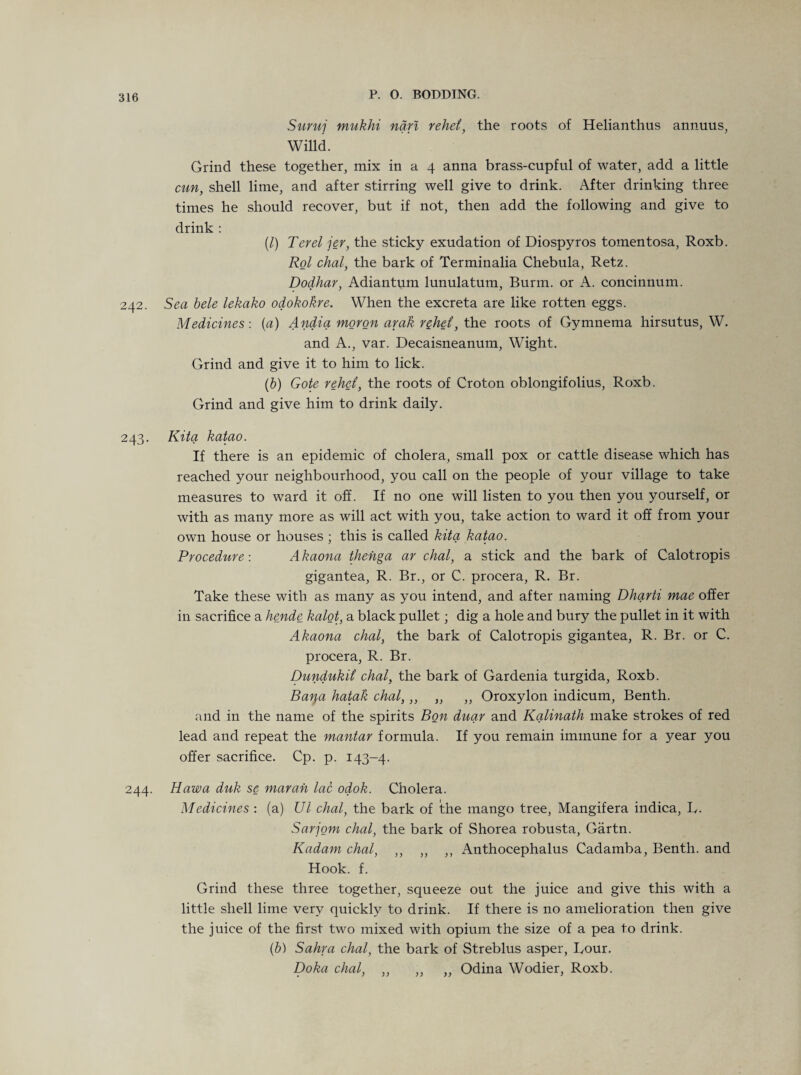 Suruj mukhi nari rehei, the roots of Helianthus annuus, Willd. Grind these together, mix in a 4 anna brass-cupful of water, add a little cun, shell lime, and after stirring well give to drink. After drinking three times he should recover, but if not, then add the following and give to drink : (/) Ter el jer, the sticky exudation of Diospyros tomentosa, Roxb. Rol dial, the bark of Terminalia Chebula, Retz. Dodhar, Adiantum lunulatum, Burm. or A. concinnum. 242. Sea bele lekako odokokre. When the excreta are like rotten eggs. Medicines: (a) Andia moron arak rehei, the roots of Gymnema hirsutus, W. and A., var. Decaisneanum, Wight. Grind and give it to him to lick. (b) Gote rehei, the roots of Croton oblongifolius, Roxb. Grind and give him to drink daily. 243. Kita katao. If there is an epidemic of cholera, small pox or cattle disease which has reached your neighbourhood, you call on the people of your village to take measures to ward it off. If no one will listen to you then you yourself, or with as many more as will act with you, take action to ward it off from your own house or houses ; this is called kita katao. Procedure: Akaona thehga ar chal, a stick and the bark of Calotropis gigantea, R. Br., or C. procera, R. Br. Take these with as many as you intend, and after naming Dharti mae offer in sacrifice a hende kalot, a black pullet; dig a hole and bury the pullet in it with Akaona chal, the bark of Calotropis gigantea, R. Br. or C. procera, R. Br. Dundukii chal, the bark of Gardenia turgida, Roxb. Bar\a hatak chal,,, „ ,, Oroxylon indicum, Benth. and in the name of the spirits Bon duar and Kalinath make strokes of red lead and repeat the mantar formula. If you remain immune for a 3^ear you offer sacrifice. Cp. p. 143-4. 244. Haw a duk se mar ah lac odok. Cholera. Medicines : (a) Ul chal, the bark of the mango tree, Mangifera indica, L. Sarjom chal, the bark of Shorea robusta, Gartn. Kadarn chal, ,, „ ,, Anthocephalus Cadamba, Benth. and Hook. f. Grind these three together, squeeze out the juice and give this with a little shell lime very quickly to drink. If there is no amelioration then give the juice of the first two mixed with opium the size of a pea to drink. (b) Sahra chal, the bark of Streblus asper, Tour. Doka chal, ,, ,, ,, Odina Wodier, Roxb.