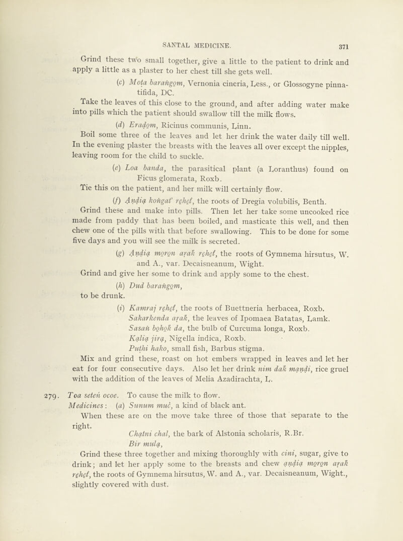 Grind these two small together, give a little to the patient to drink and apply a little as a plaster to her chest till she gets well. (c) Mota barangom, Vernonia cineria, Dess., or Glossogyne pinna- tifida, DC. Take the leaves of this close to the ground, and after adding water make into pills which the patient should swallow till the milk flows. (d) Eradorn, Ricinus communis, Dinn. Boil some three of the leaves and let her drink the water daily till well. In the evening plaster the breasts with the leaves all over except the nipples, leaving room for the child to suckle. (e) Loa banda, the parasitical plant (a Roranthus) found on Ficus glomerata, Roxb. Tie this on the patient, and her milk will certainly flow. (/) Andia kohgat’ rehet, the roots of Dregia volubilis, Benth. Grind these and make into pills. Then let her take some uncooked rice made from paddy that has been boiled, and masticate this well, and then chew one of the pills with that before swallowing. This to be done for some five days and you will see the milk is secreted. (g) Andiq, moron arak rehet, the roots of Gymnema hirsutus, W. and A., var. Decaisneanum, Wight. Grind and give her some to drink and apply some to the chest. (h) Dud barangom, to be drunk. (i) Kamraj rehet, the roots of Buettneria herbacea, Roxb. Sakarkenda arak, the leaves of Ipomaea Batatas, Rarnk. Sasah bohok da, the bulb of Curcuma longa, Roxb. Kalia jira, Nigella indica, Roxb. Puthi hako, small fish, Barbus stigma. Mix and grind these, roast on hot embers wrapped in leaves and let her eat for four consecutive days. Also let her drink nim dak mandi, rice gruel with the addition of the leaves of Melia Azadiraehta, R. 279. Toa seteh ocoe. To cause the milk to flow. Medicines : (a) Sunum muc, a kind of black ant. When these are on the move take three of those that separate to the right. Chatni chal, the bark of Alstonia scholaris, R.Br. Bir mulct, Grind these three together and mixing thoroughly with cini, sugar, give to drink; and let her apply some to the breasts and chew andia moron arak rehet, the roots of Gymnema hirsutus, W. and A., var. Decaisneanum, Wight., slightly covered with dust.