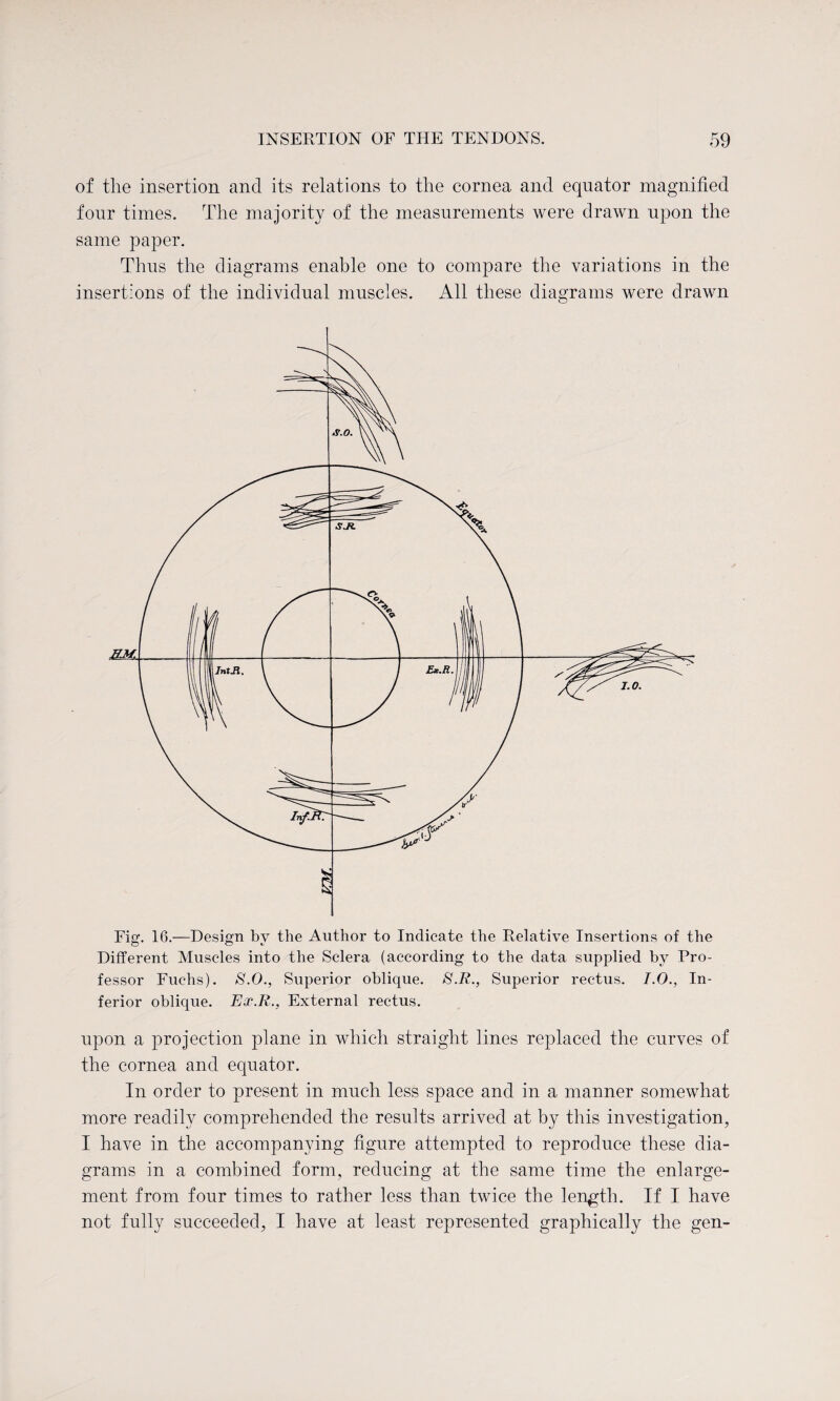 of the insertion and its relations to the cornea and equator magnified four times. The majority of the measurements were drawn upon the same paper. Thus the diagrams enable one to compare the variations in the insertions of the individual muscles. All these diagrams were drawn Fig. 16.—Design bv the Author to Indicate the Relative Insertions of the Different Muscles into the Sclera (according to the data supplied by Pro¬ fessor Fuchs). S.O., Superior oblique. S.R., Superior rectus. I.O., In¬ ferior oblique. Exit., External rectus. upon a projection plane in which straight lines replaced the curves of the cornea and equator. In order to present in much less space and in a manner somewhat more readily comprehended the results arrived at by this investigation, I have in the accompanying figure attempted to reproduce these dia¬ grams in a combined form, reducing at the same time the enlarge¬ ment from four times to rather less than twice the length. If I have not fully succeeded, I have at least represented graphically the gen-