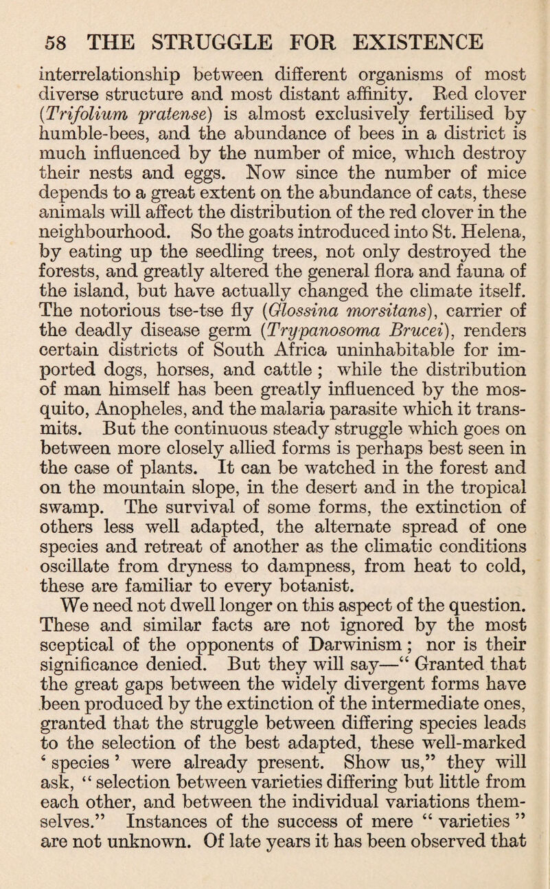 interrelationship between different organisms of most diverse structure and most distant affinity. Red clover (Trifolium pratense) is almost exclusively fertilised by humble-bees, and the abundance of bees in a district is much influenced by the number of mice, which destroy their nests and eggs. Now since the number of mice depends to a great extent on the abundance of cats, these animals will affect the distribution of the red clover in the neighbourhood. So the goats introduced into St. Helena, by eating up the seedling trees, not only destroyed the forests, and greatly altered the general flora and fauna of the island, but have actually changed the climate itself. The notorious tse-tse fly (Glossina morsitans), carrier of the deadly disease germ (Trypanosoma Brucei), renders certain districts of South Africa uninhabitable for im¬ ported dogs, horses, and cattle ; while the distribution of man himself has been greatly influenced by the mos¬ quito, Anopheles, and the malaria parasite which it trans¬ mits. But the continuous steady struggle wfiich goes on between more closely allied forms is perhaps best seen in the case of plants. It can be watched in the forest and on the mountain slope, in the desert and in the tropical swamp. The survival of some forms, the extinction of others less well adapted, the alternate spread of one species and retreat of another as the climatic conditions oscillate from dryness to dampness, from heat to cold, these are familiar to every botanist. We need not dwell longer on this aspect of the question. These and similar facts are not ignored by the most sceptical of the opponents of Darwinism; nor is their significance denied. But they will say—“ Granted that the great gaps between the widely divergent forms have been produced by the extinction of the intermediate ones, granted that the struggle between differing species leads to the selection of the best adapted, these well-marked 4 species 5 were already present. Show us,” they will ask, “ selection between varieties differing but little from each other, and between the individual variations them¬ selves.” Instances of the success of mere 44 varieties ” are not unknown. Of late years it has been observed that