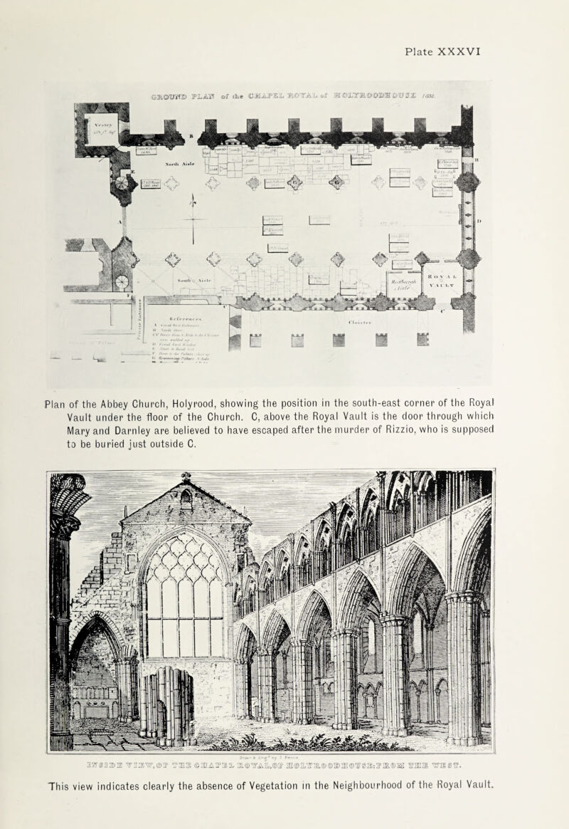 Plan of the Abbey Church, Holyrood, showing the position in the south-east corner of the Royal Vault under the floor of the Church. C, above the Royal Vault is the door through which Mary and Darnley are believed to have escaped after the murder of Rizzio, who is supposed to be buried just outside C. FLAW of the C32AFEL of lfi£©LTB.©10 S text This view indicates clearly the absence of Vegetation in the Neighbourhood of the Royal Vault.