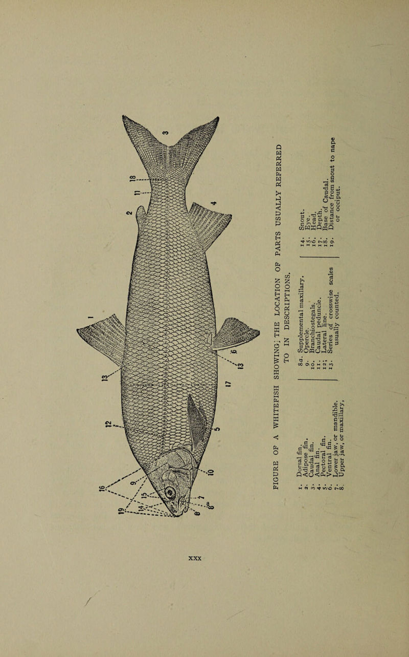 W Pi Pi W a a a a ►4 P 03 P CO H a <1 Ah Ph O CO a a P o H <1 o o P a a H P a hH £ o a CO H 0. I—I Pi o CO a Q O H a CO n Ph a h a £ a o a oi a p i—i a V a G O G O G cn cj »d c 3 2 cj «H o 0) «+-( O a -a ° g ° >> o & g w r-< £>*03 <13 rrt .r- waaomQ G .2* O o O *h o rf IOVO r^OO 0\ >> u oJ C/3 43 I—i cti o w N c3 03 A3 cj g bos * I^Sg 8 ft-'- <D . .2t3 & « m G G 0) G *7* o cj £ w 3 &g8 2-S-c A G j?< I? cj cj u COOWCJPCO .. 00 O' O h M ro M H M H . G • ^ C C^ctf • « ^ <u..Sr3 — ,—i w — G3 nj cj O™ O >- w a'G-p OtJ rt G <u a) g >, /•** Ih a g GS g * 2 G £ e «-. u . o o bT £ cj cj T— l-l U 0) D £ a o ft QCoca>aP H « >V) Tj- lOVO »^00 XXX /