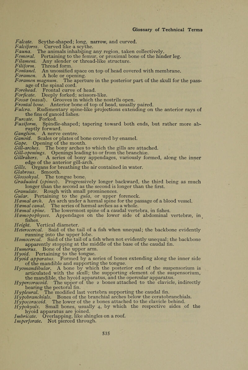 Falcate. Scythe-shaped; long, narrow, and curved. Falciform. Curved like a scythe. Fauna. The animals inhabiting any region, taken collectively. Femoral. Pertaining to the femur, or proximal bone of the hinder leg. Filament. Any slender or thread-like structure. Filiform. Thread form. Fontanel. An unossified space on top of head covered with membrane. Foramen. A hole or opening. Foramen magnum. The aperture in the posterior part of the skull for the pass¬ age of the spinal cord. Forehead. Frontal curve of head. Forficate. Deeply forked; scissors-like. Fossce (nasal). Grooves in which the nostrils open. Frontal bone. Anterior bone of top of head, usually paired. Fulcra. Rudimentary spine-like projections extending on the anterior rays of the fins of ganoid fishes. Furcate. Forked. Fusiform. Spindle-shaped; tapering toward both ends, but rather more ab¬ ruptly forward. Ganglion. A nerve centre. Ganoid. Scales or plates of bone covered by enamel. Gape. Opening of the mouth. Gill-arches. The bony arches to which the gills are attached. Gill-openings. Openings leading to or from the branchiae. Gillrakers. A series of bony appendages, variously formed, along the inner edge of the anterior gill-arch. Gills. Organs for breathing the air contained in water. Glabrous. Smooth. Glossohyal. The tongue bone. Graduated (spines). Progressively longer backward, the third being as much longer than the second as the second is longer than the first. Granulate. Rough with small prominences. Gular. Pertaining to the gula, or upper foreneck. Haemal arch. An arch under a hasmal spine for the passage of a blood vessel. Haemal canal. The series of hasmal arches as a whole. Haemal spine. The lowermost spine of a caudal vertebra, in fishes. Hcemopophyses. Appendages on the lower side of abdominal vertebrae, in fishes. Height. Vertical diameter. Heterocercal. Said of the tail of a fish when unequal; the backbone evidently running into the upper lobe. Homocercal. Said of the tail of a fish when not evidently unequal; the backbone apparently stopping at the middle of the base of the caudal fin. Humerus. Bone of the upper arm. Hyoid. Pertaining to the tongue. Hyoid apparatus. Formed by a series of bones extending along the inner side of the mandible and supporting the tongue. Hyomandibular. A bone by which the posterior end of the suspensorium is articulated with the skull; the supporting element of the suspensorium, the mandible, the hyoid apparatus, and the opercular apparatus. Hypercoracoid. The upper of the 2 bones attached to the clavicle, indirectly bearing the pectoral fin. Hypleural. The modified last vertebra supporting the caudal fin. Hypobranchials. Bones of the branchial arches below the ceratobranchials. Hypocoracoid. The lower of the 2 bones attached to the clavicle behind. Hypohyals. Small bones, usually 4, by which the respective sides of the hyoid apparatus are joined. Imbricate. Overlapping, like shingles on a roof. Imperforate. Not pierced through.